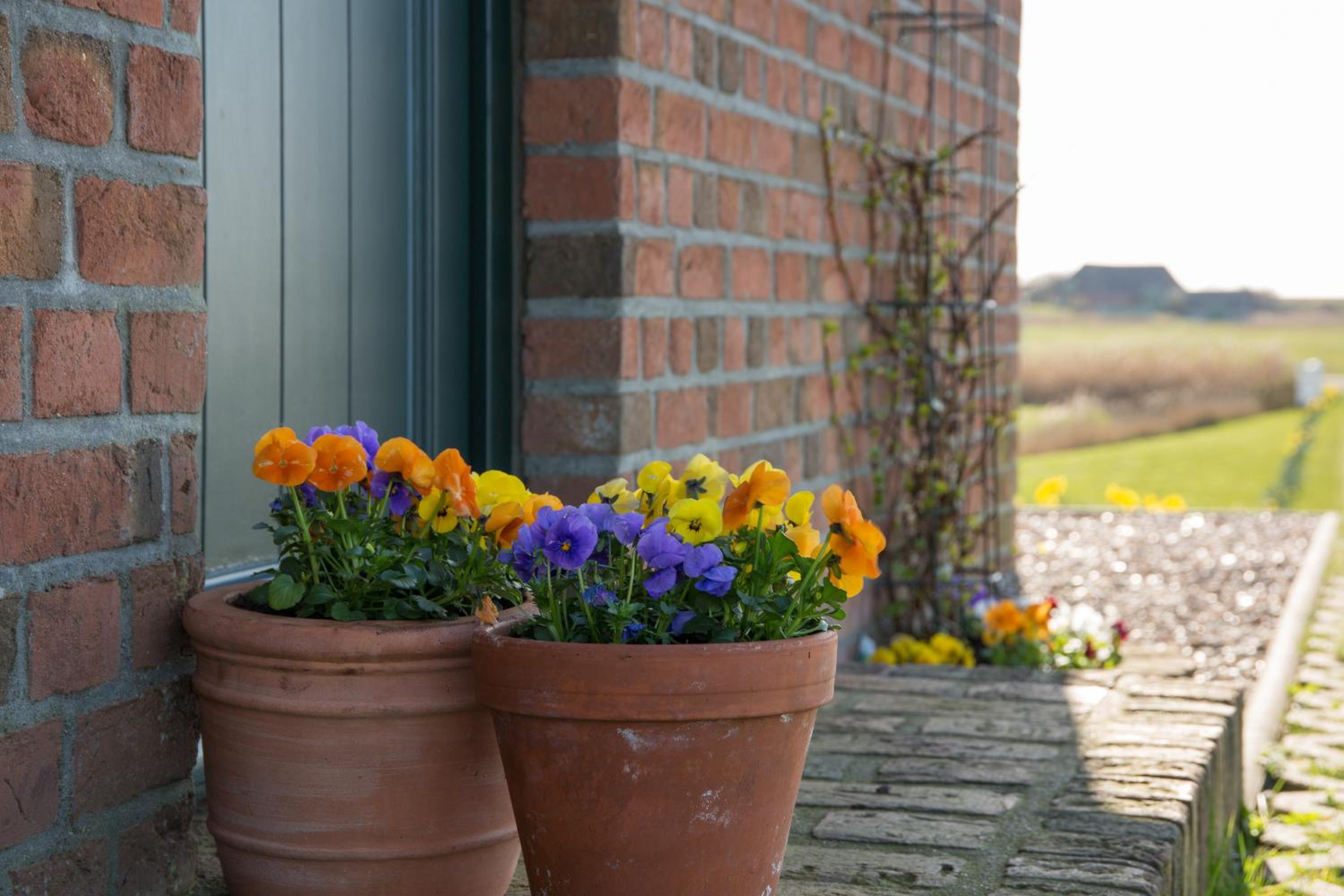 Paulas Haus Ferien unter Reet