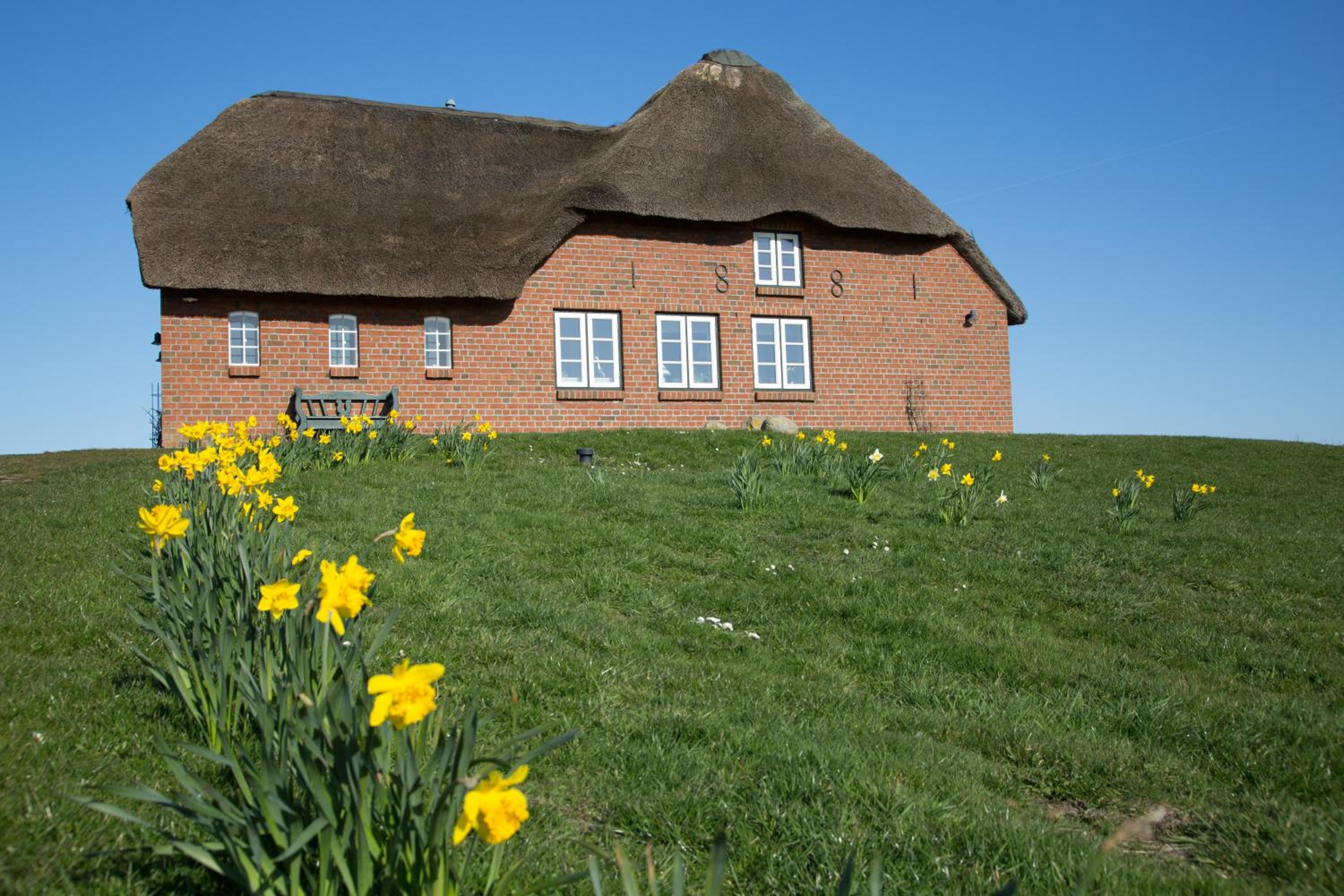 Paulas Haus Ferien unter Reet