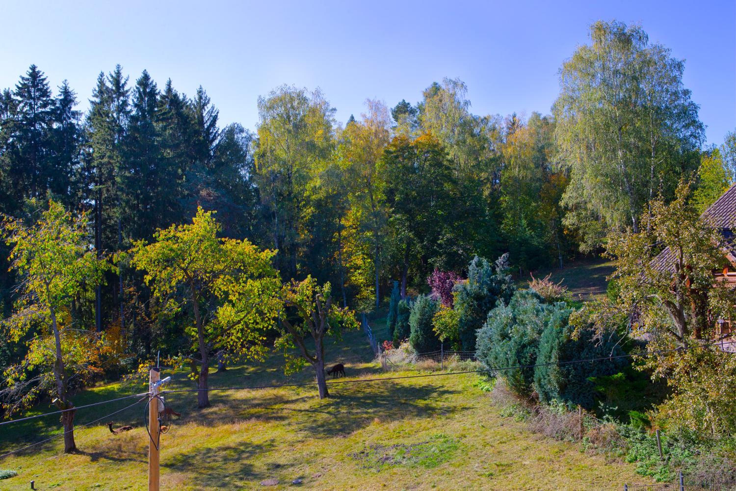 Pension Haus Fürstenberg