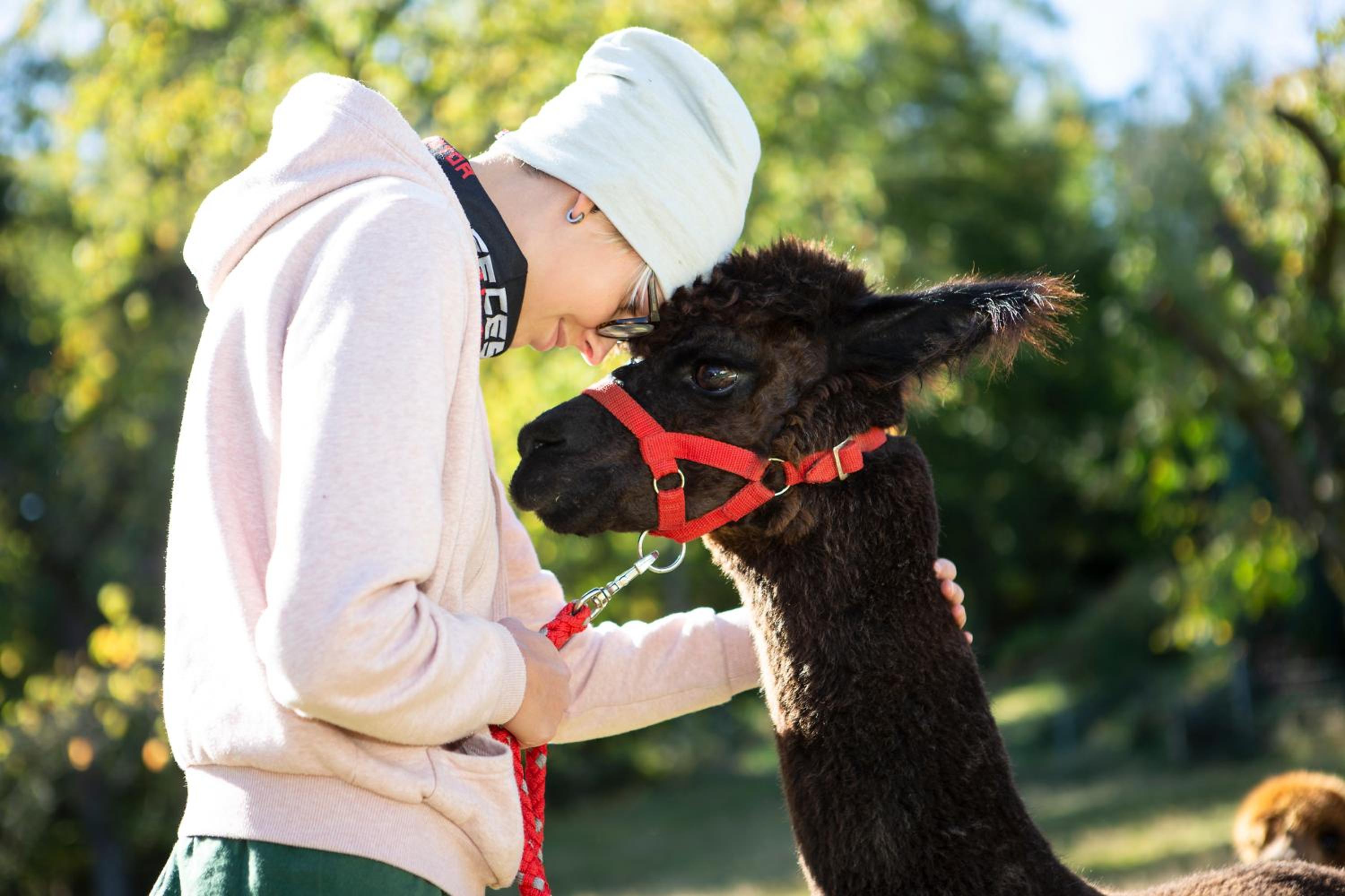 Pension Haus Fürstenberg