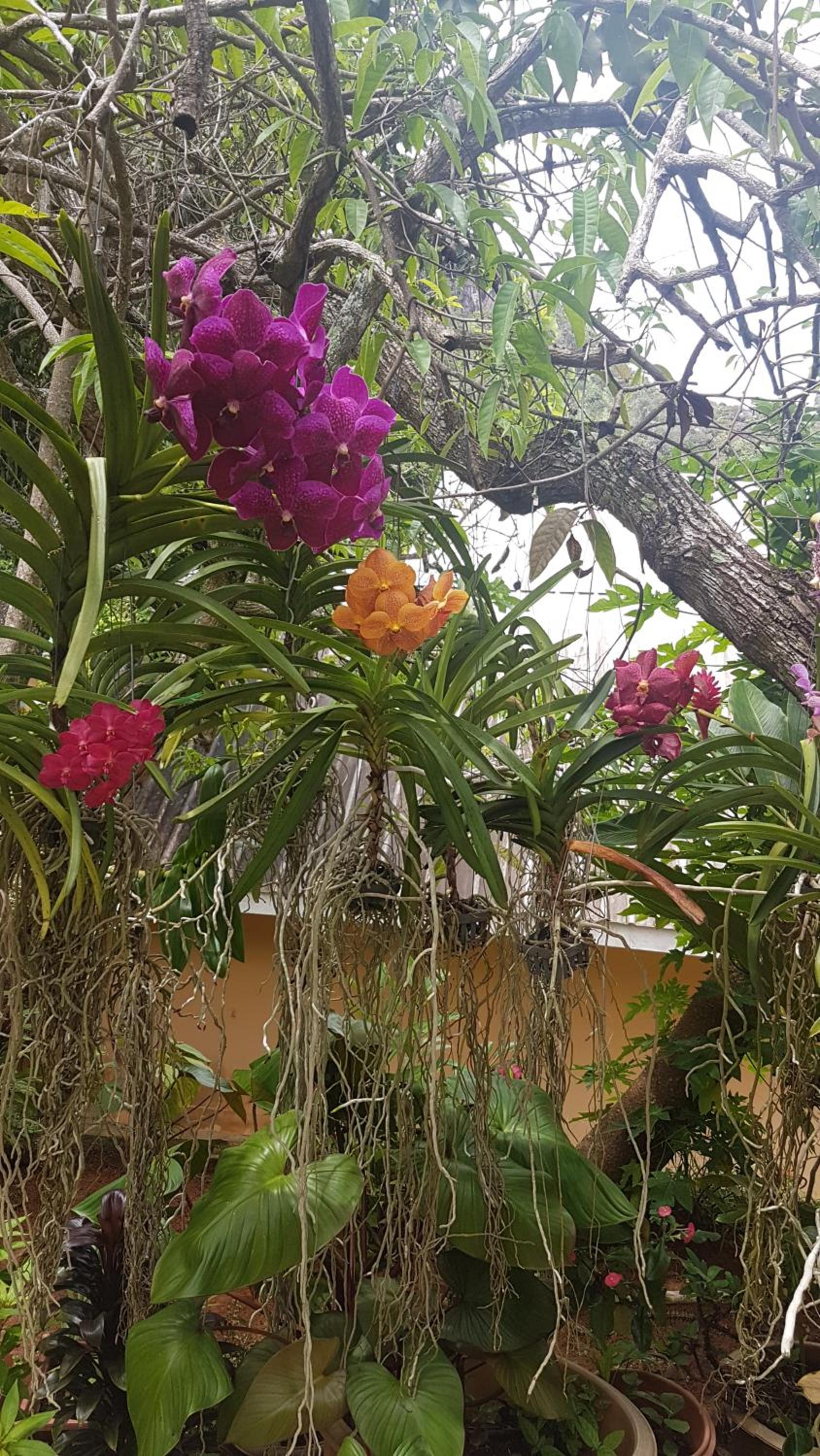Sea View Lodge