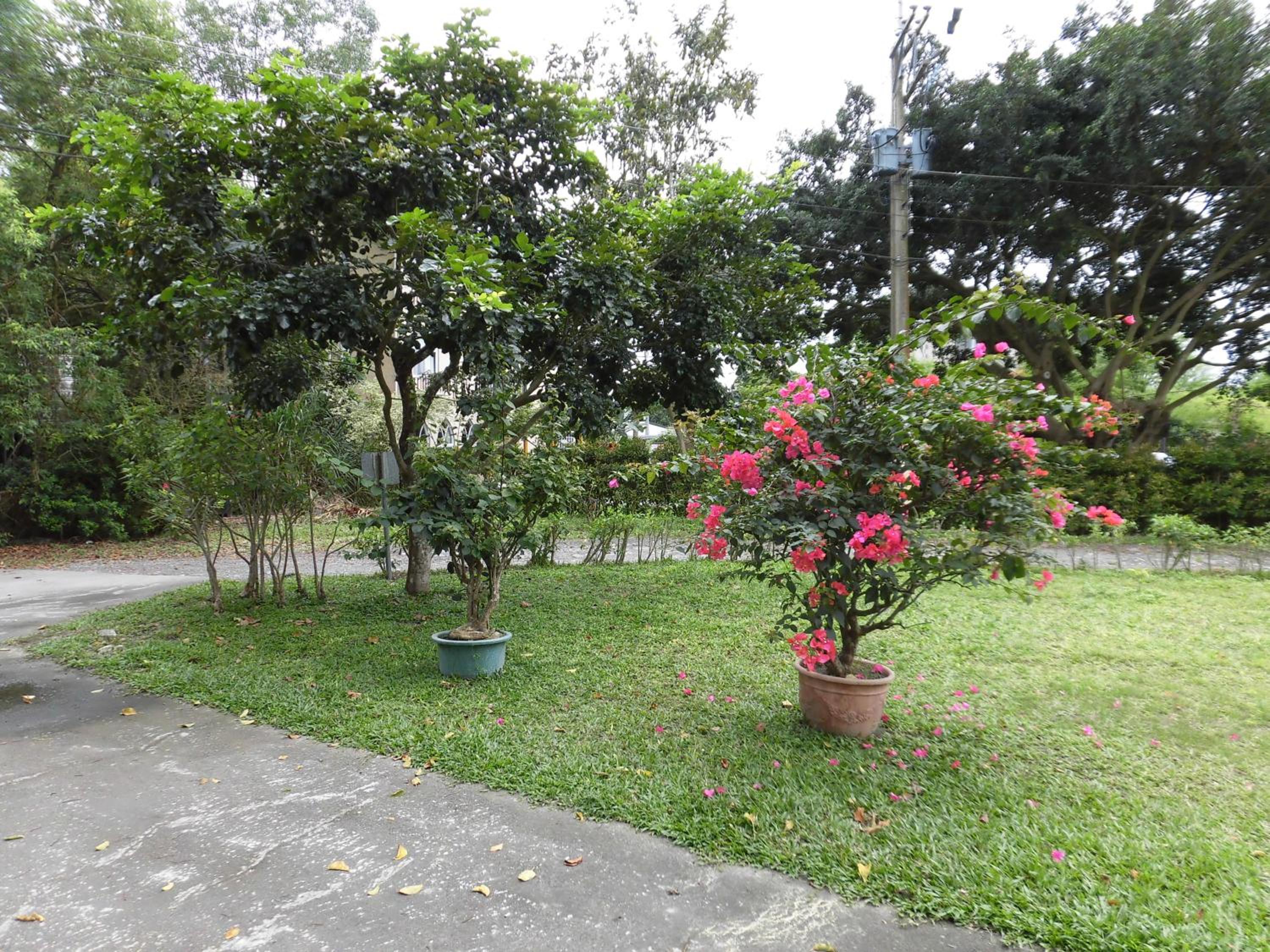 Photo 34