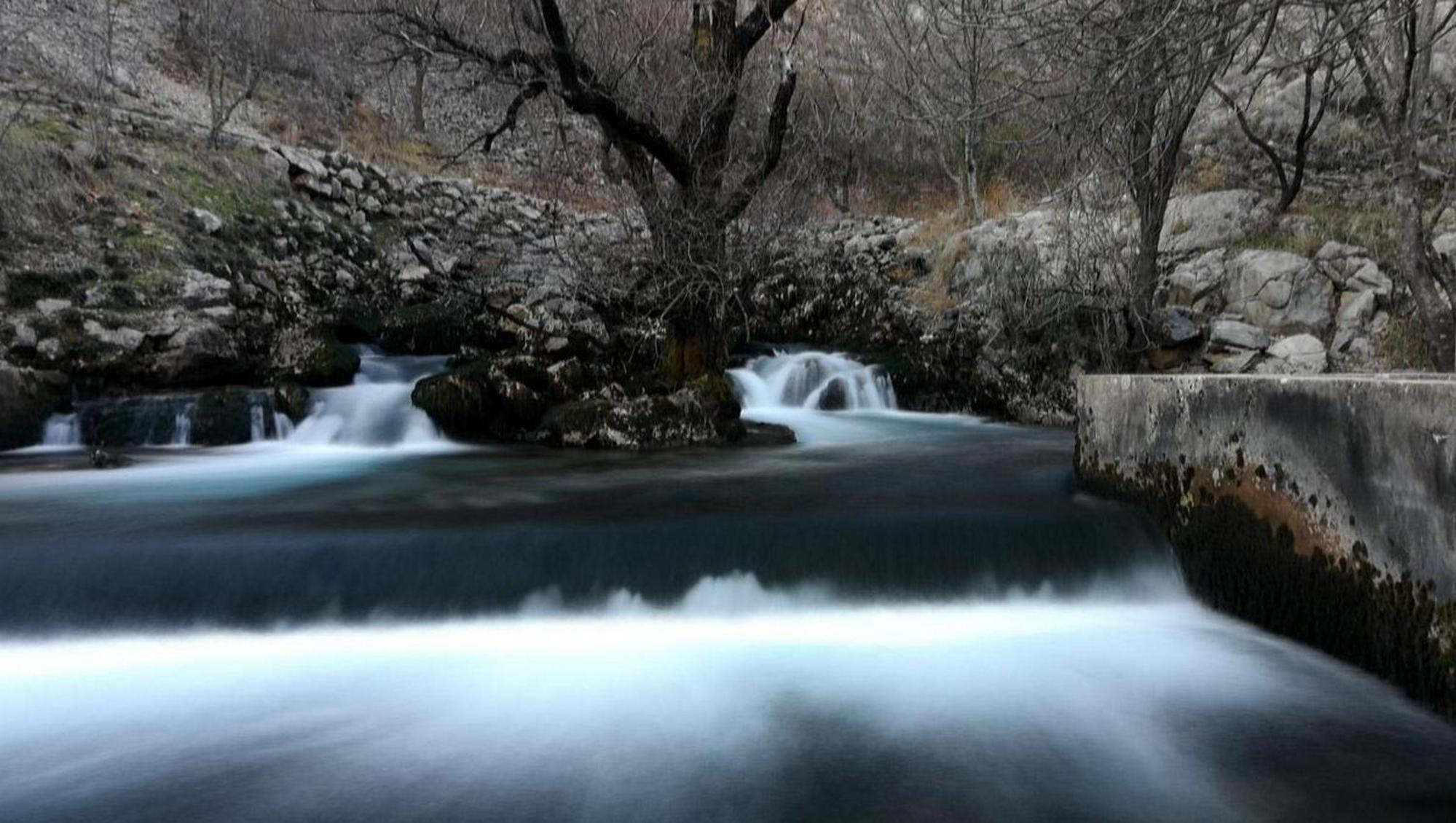 Photo 48