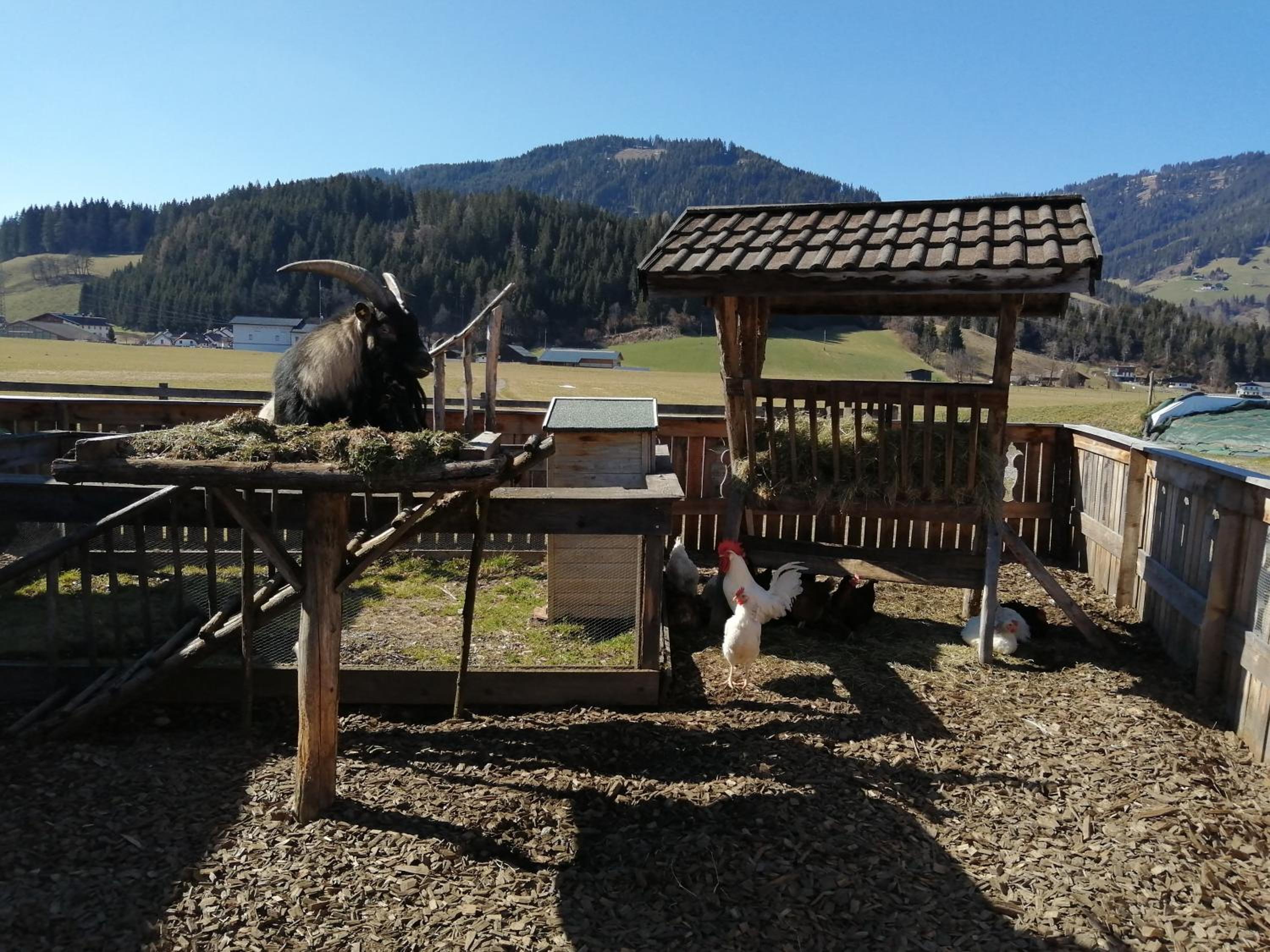 Landhaus Fingerhof