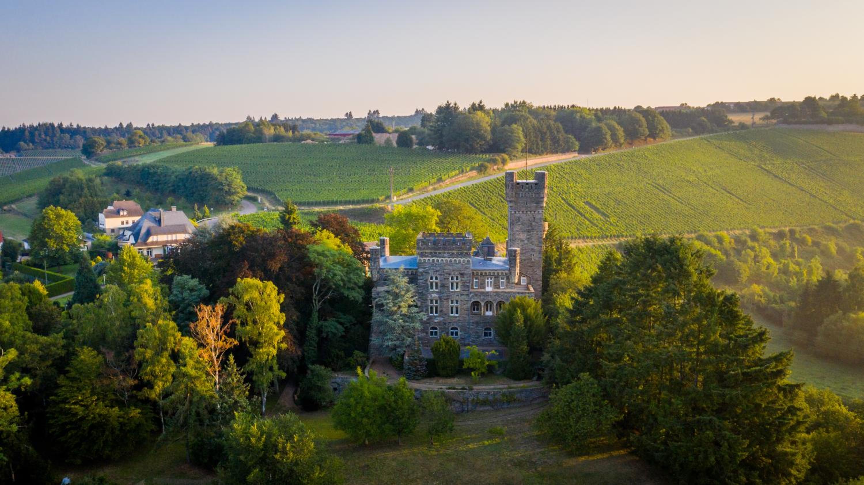Saar Castle - cozy Mansion near vineyard view 4