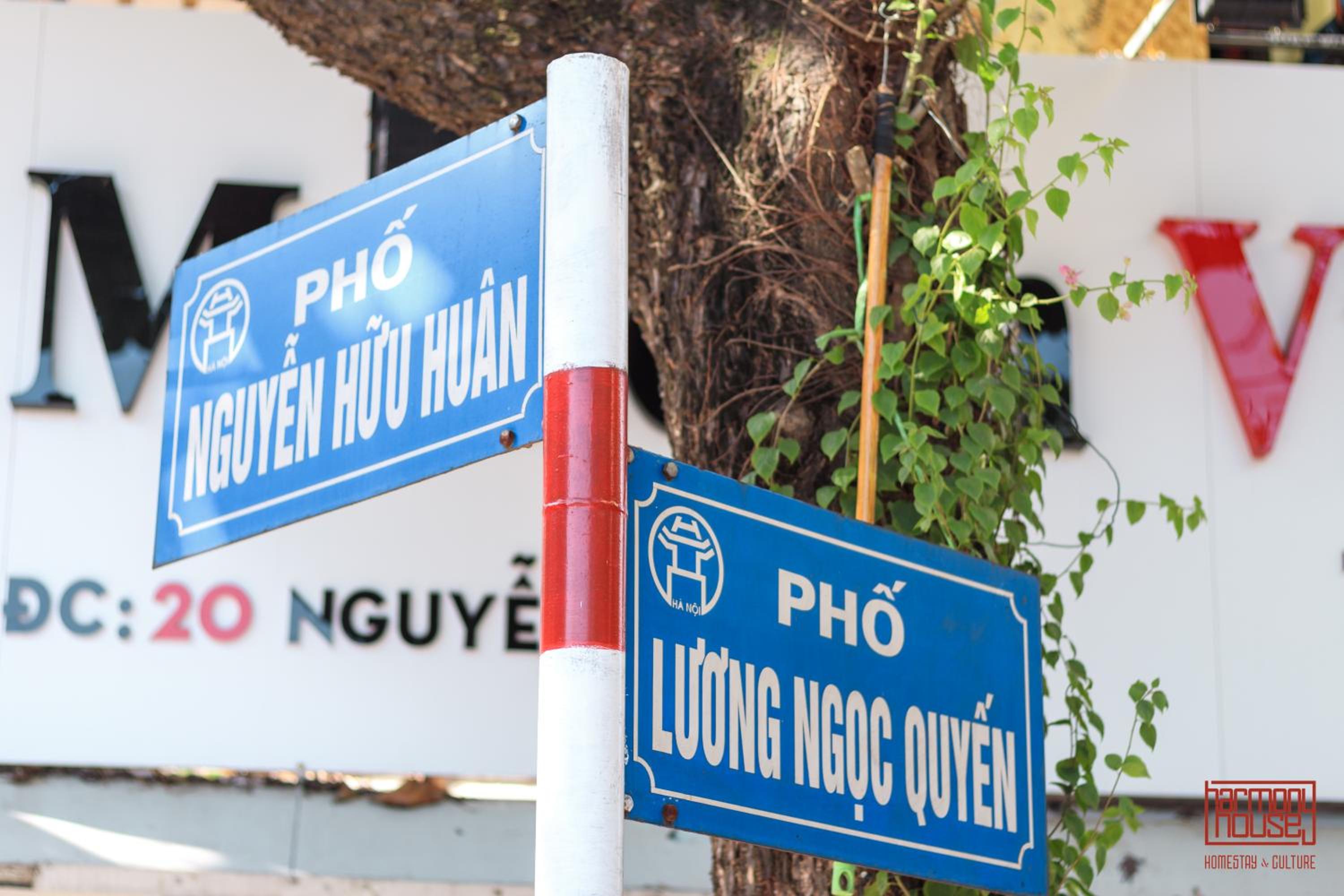 Harmony Homestay - Hanoi Homestay in Old Quarter