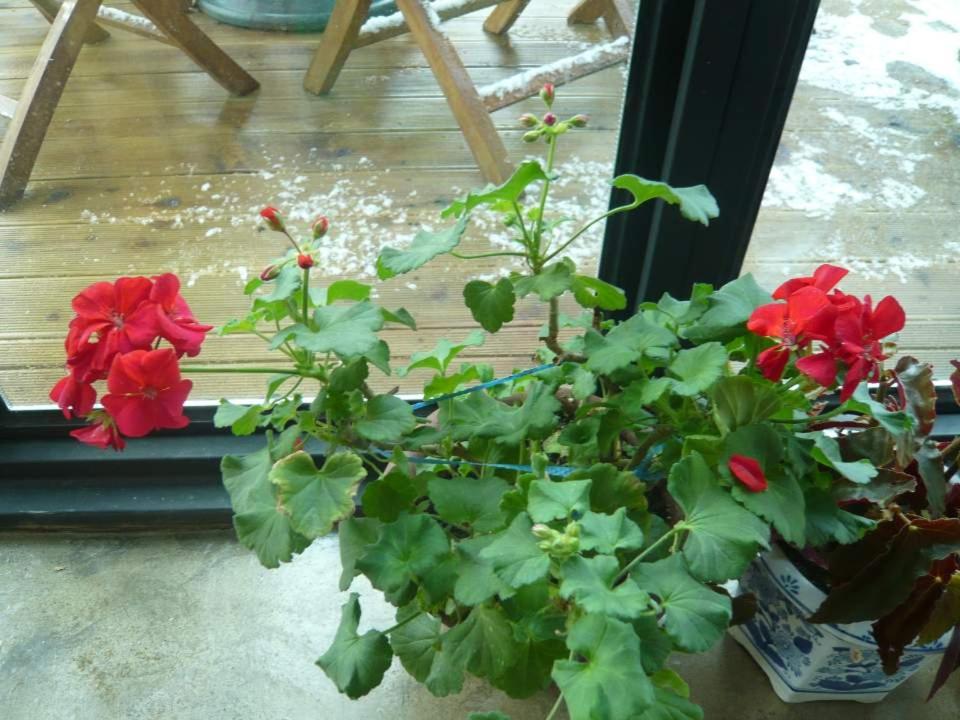 Guesthouse in Picture view 5