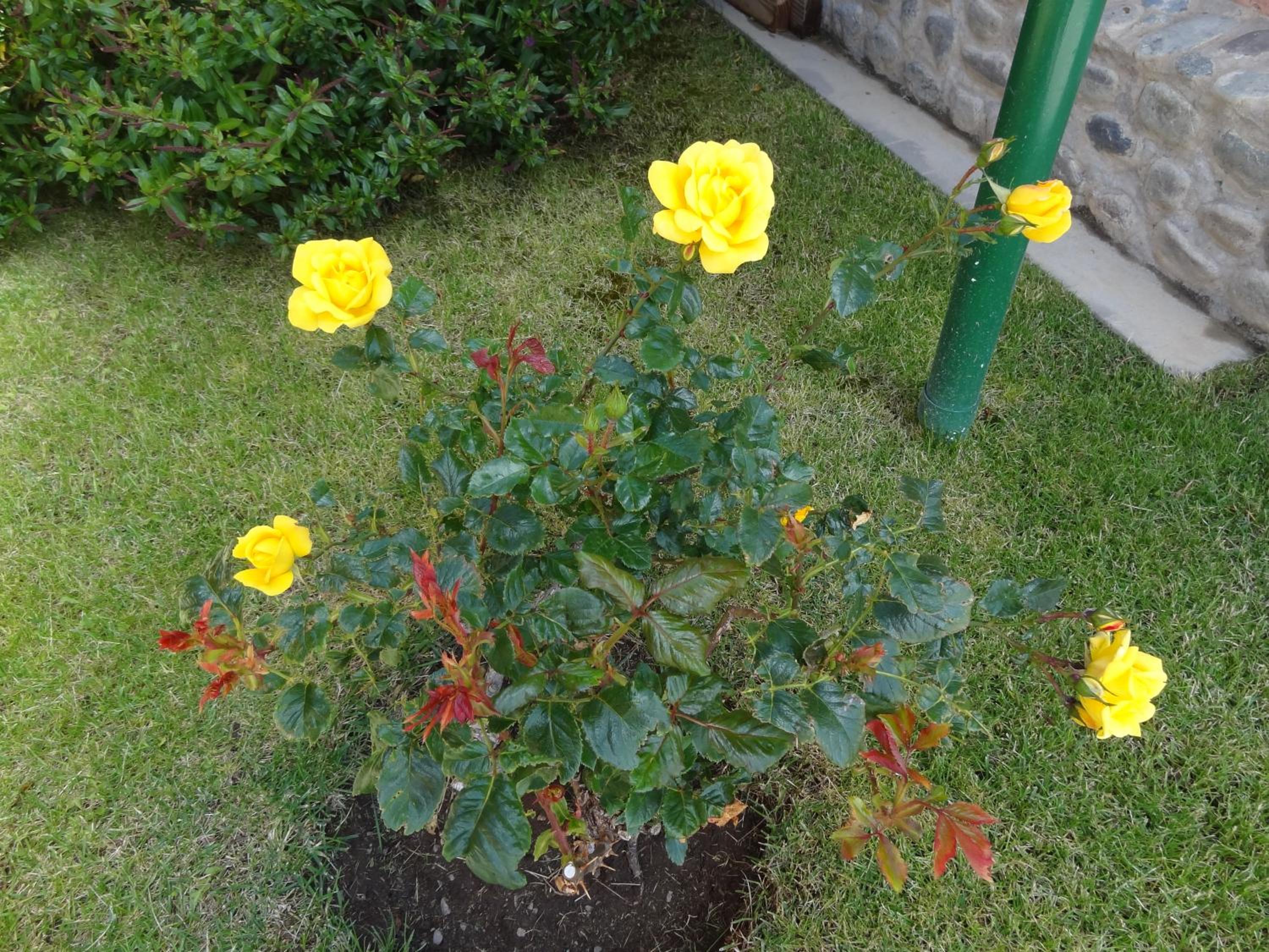 Cabañas de Nené Aparts