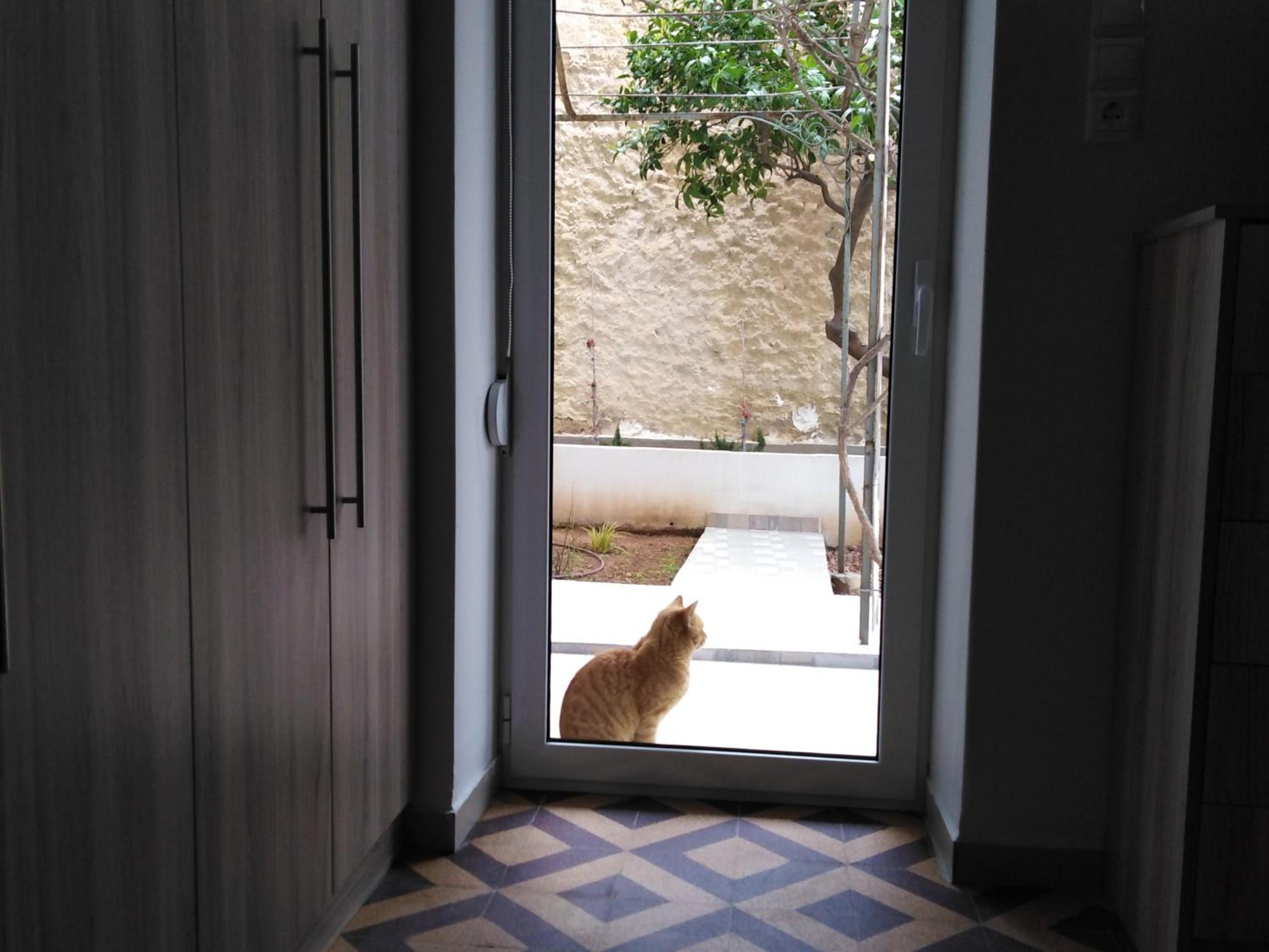 Piraeus Suite~Ermioni Villas photo 2