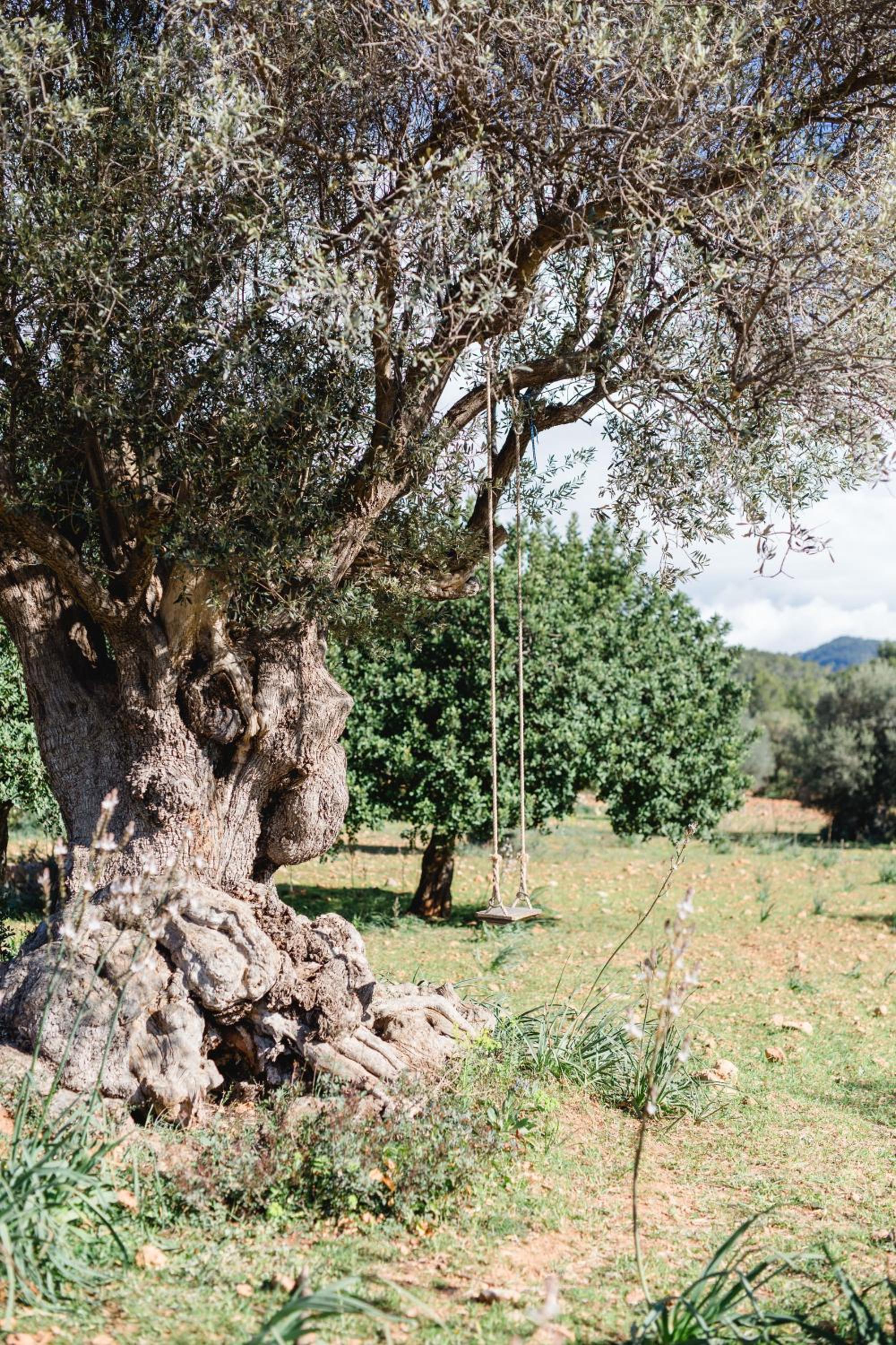 Finca Es Cabàs