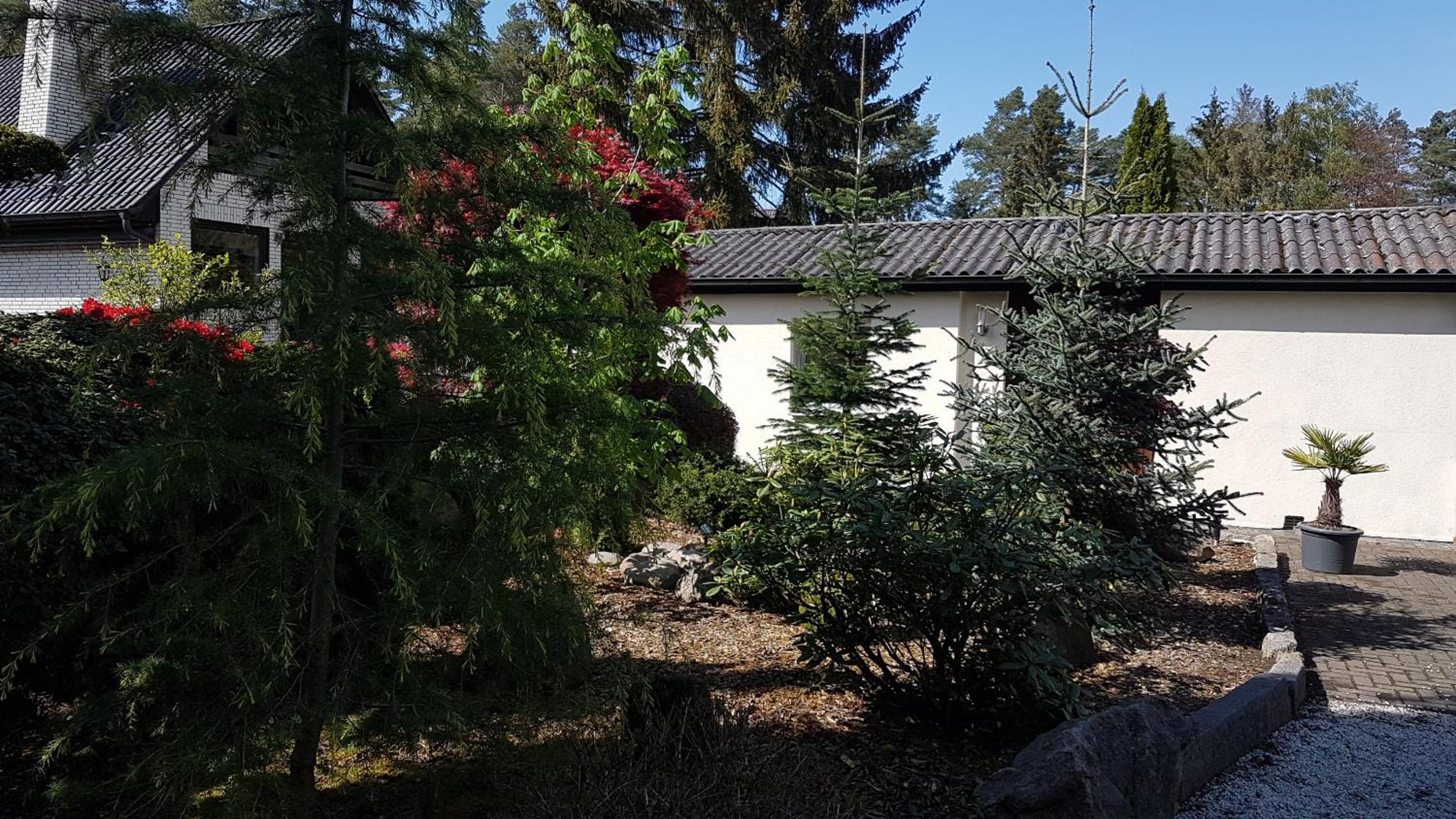 Ferienhaus am Muhlenweg - Property Image 2