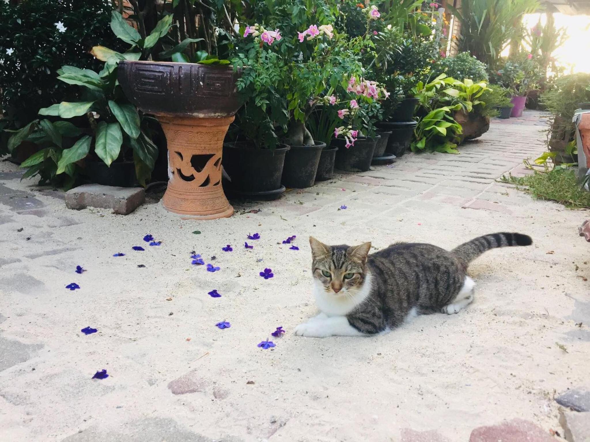 The One Hostel Phi Phi Island