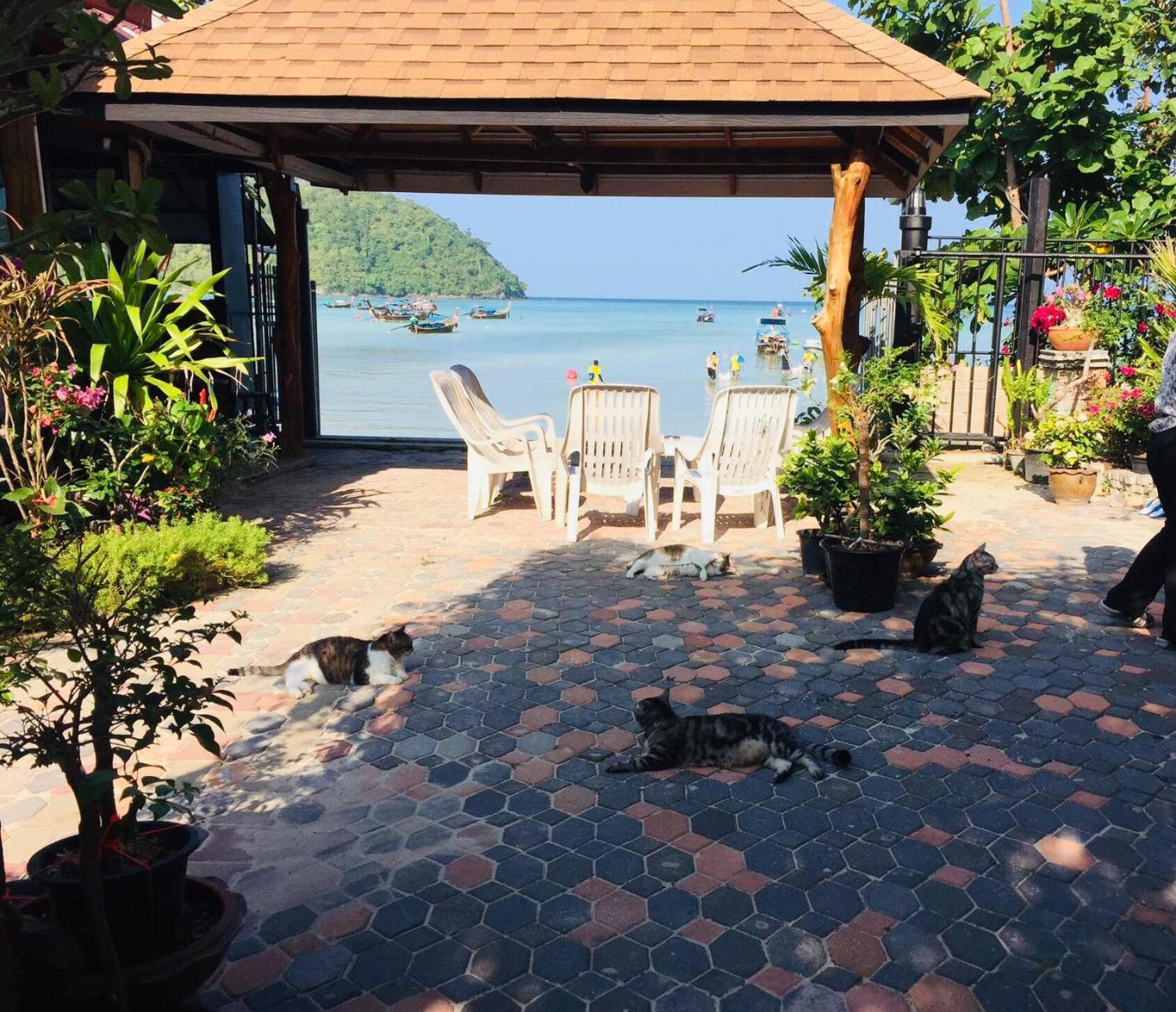The One Hostel Phi Phi Island