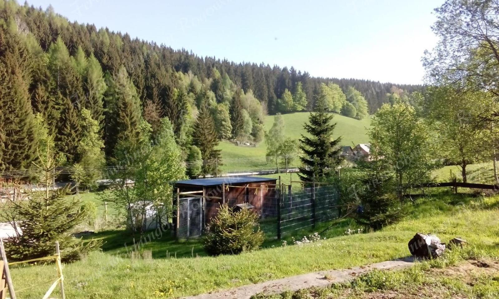 Photo 38