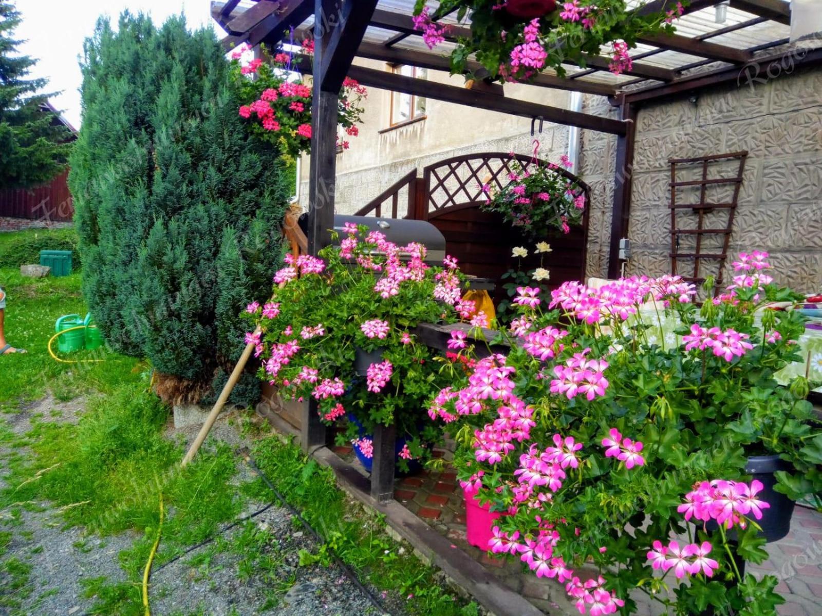 Photo 52