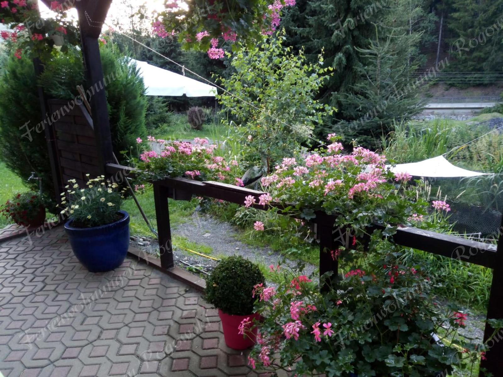 Photo 53