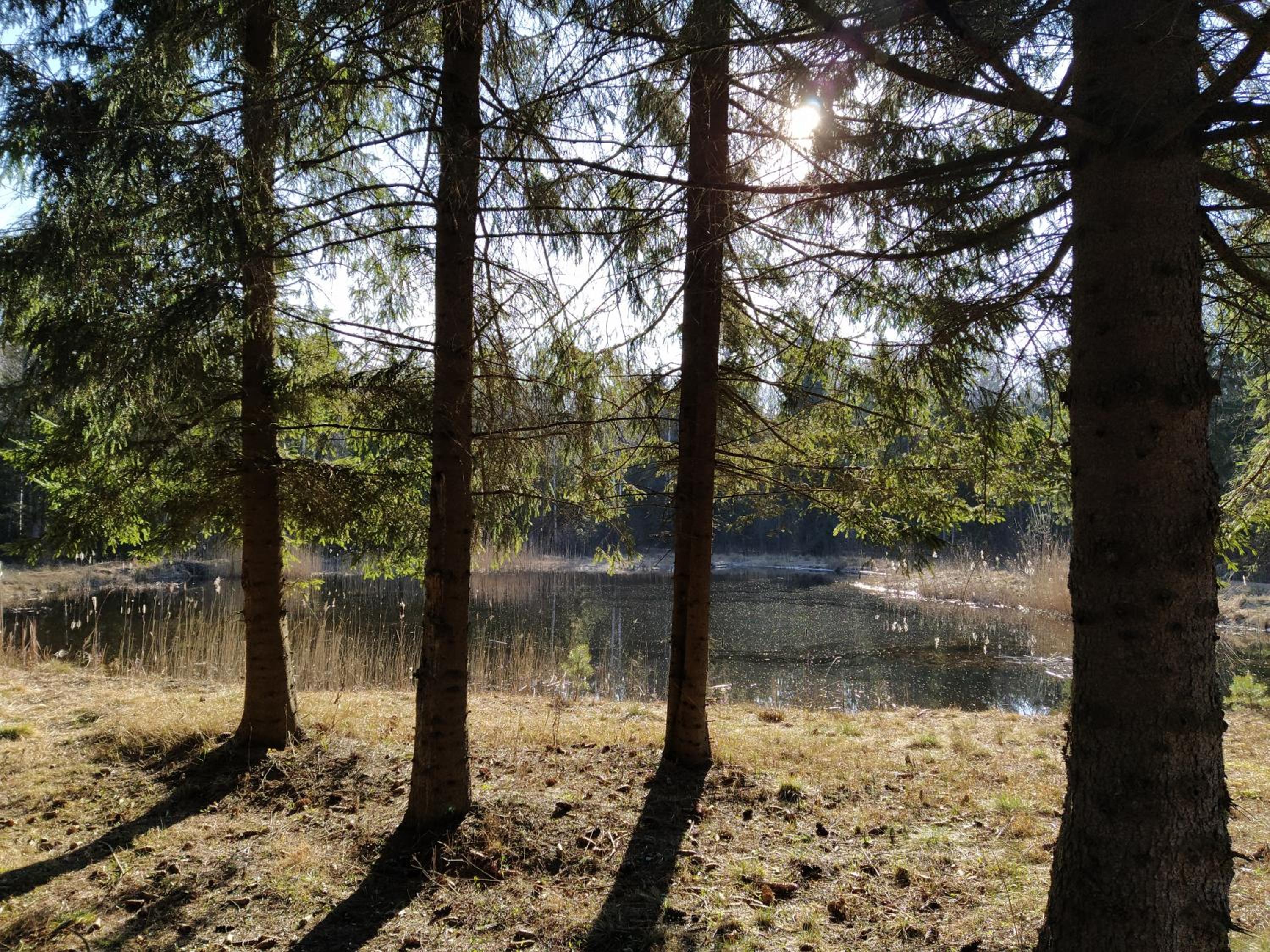 Trakų vienkiemis