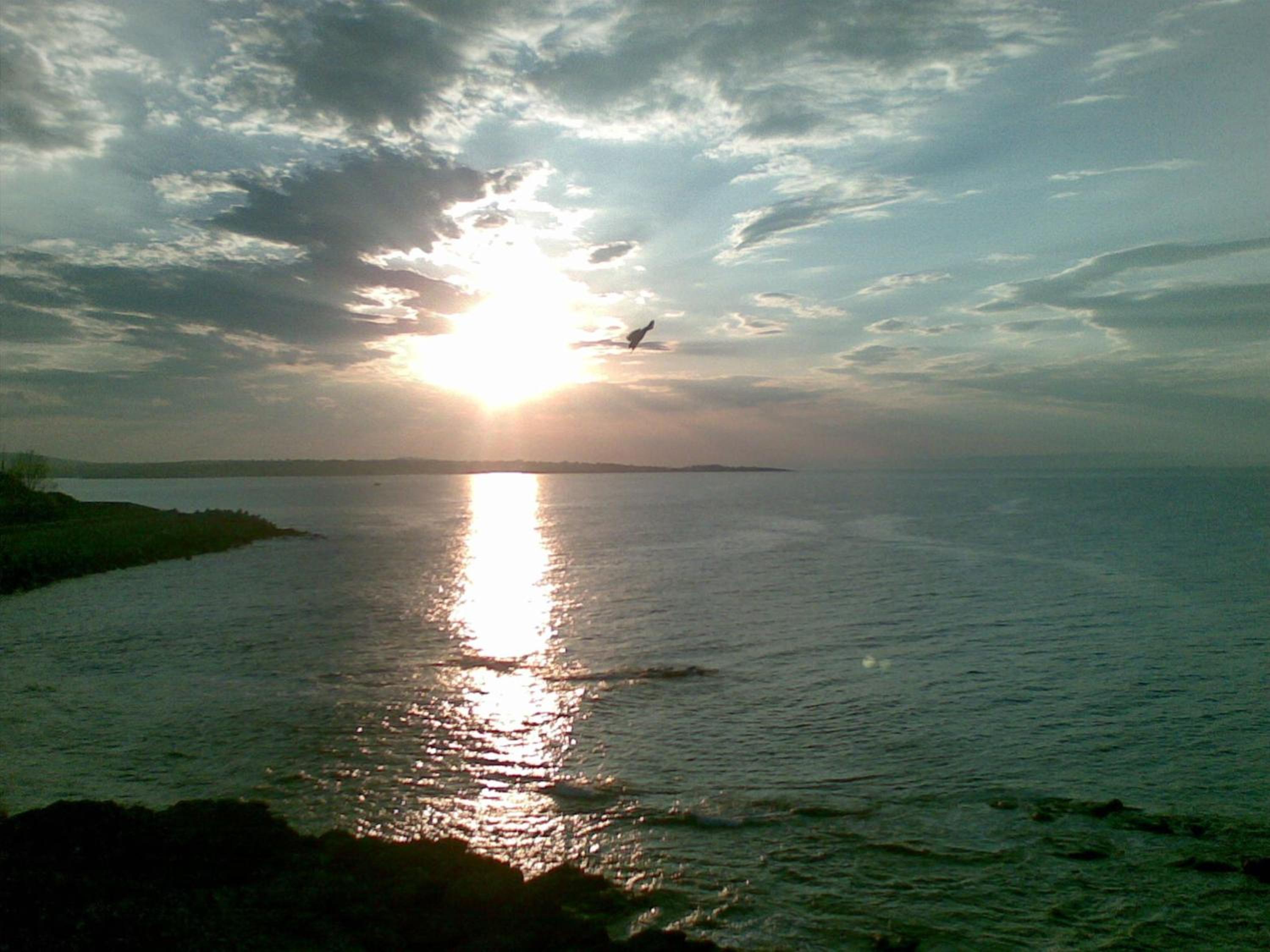 Photo 39