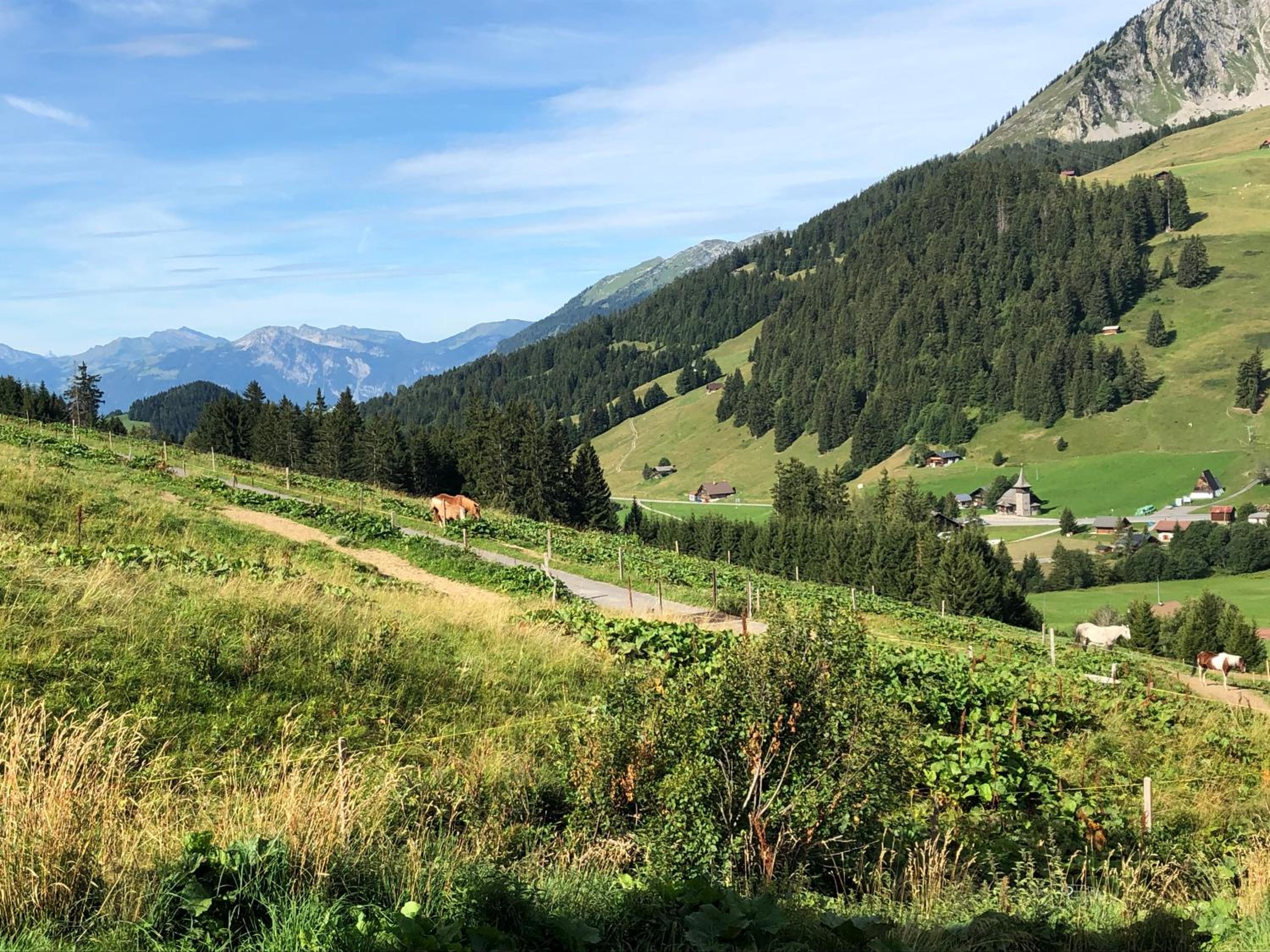 Alpine Dream Chalet with Spa close to Lake Geneva