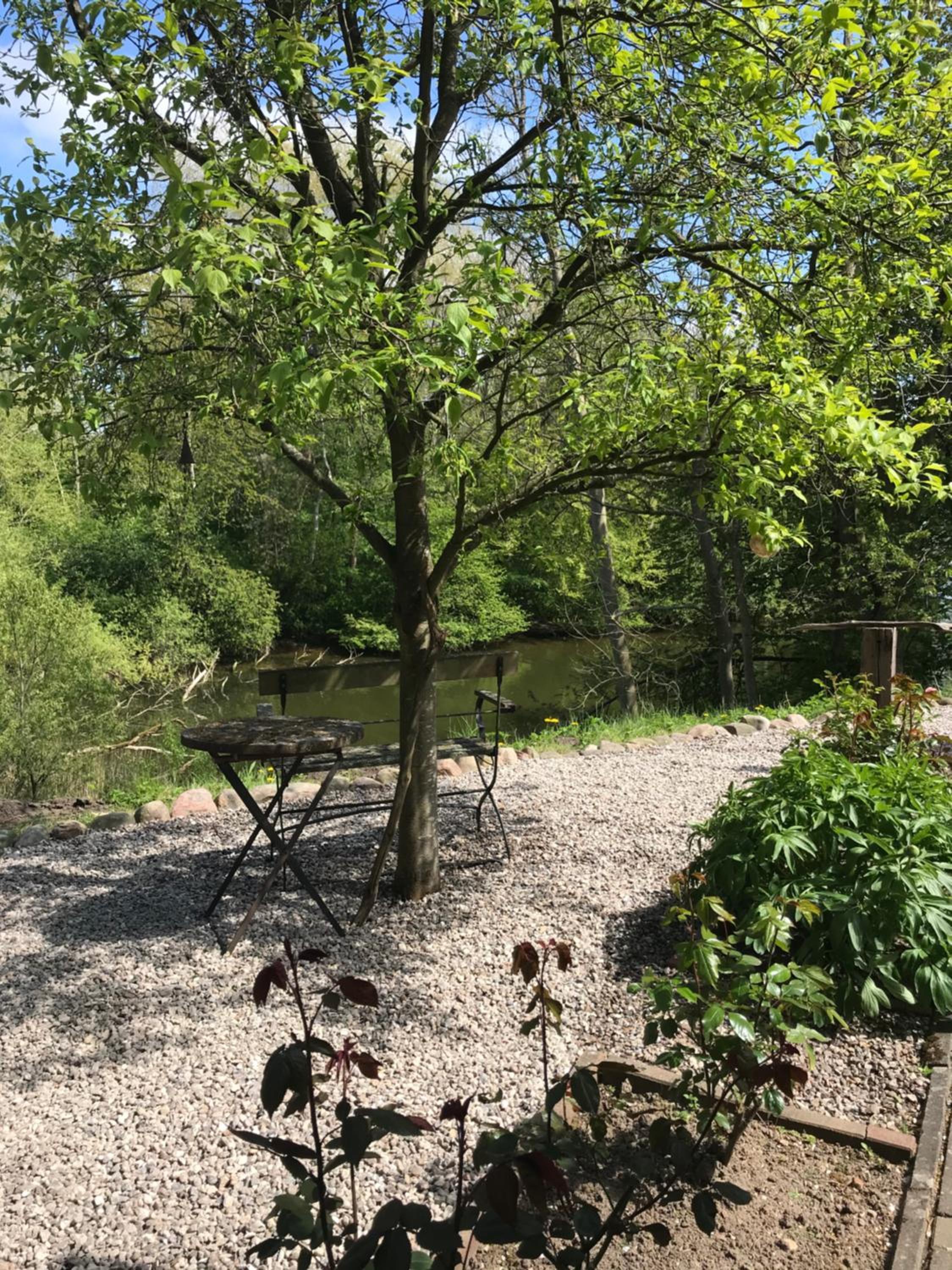 Schirnaublick
