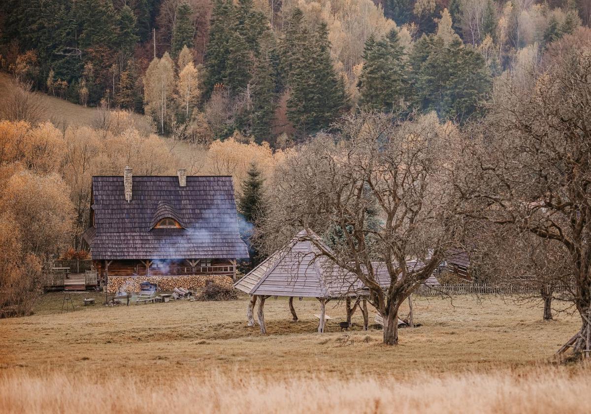 Przystanek Ropienka Leśniczówka view 3