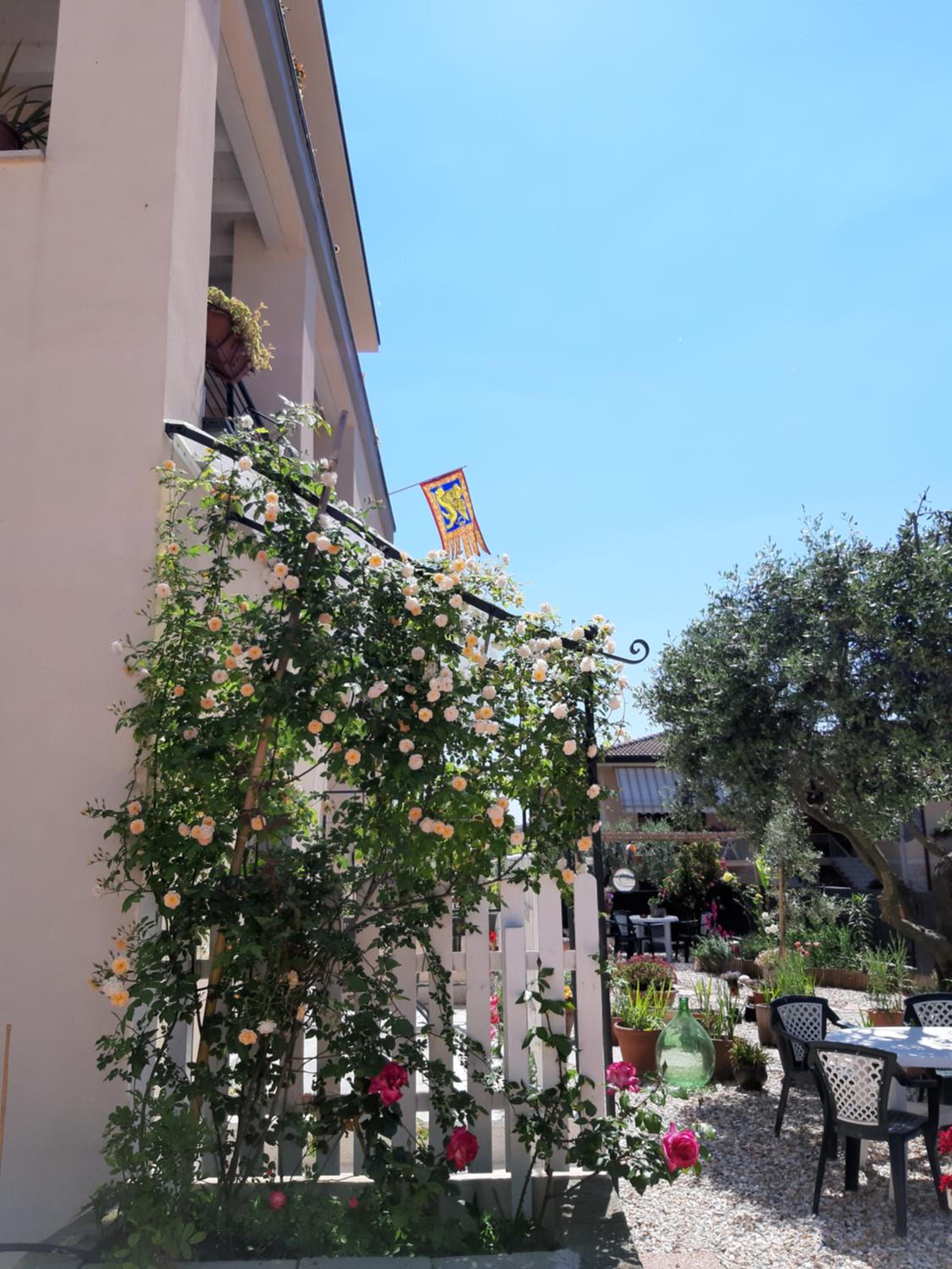 Photo 41