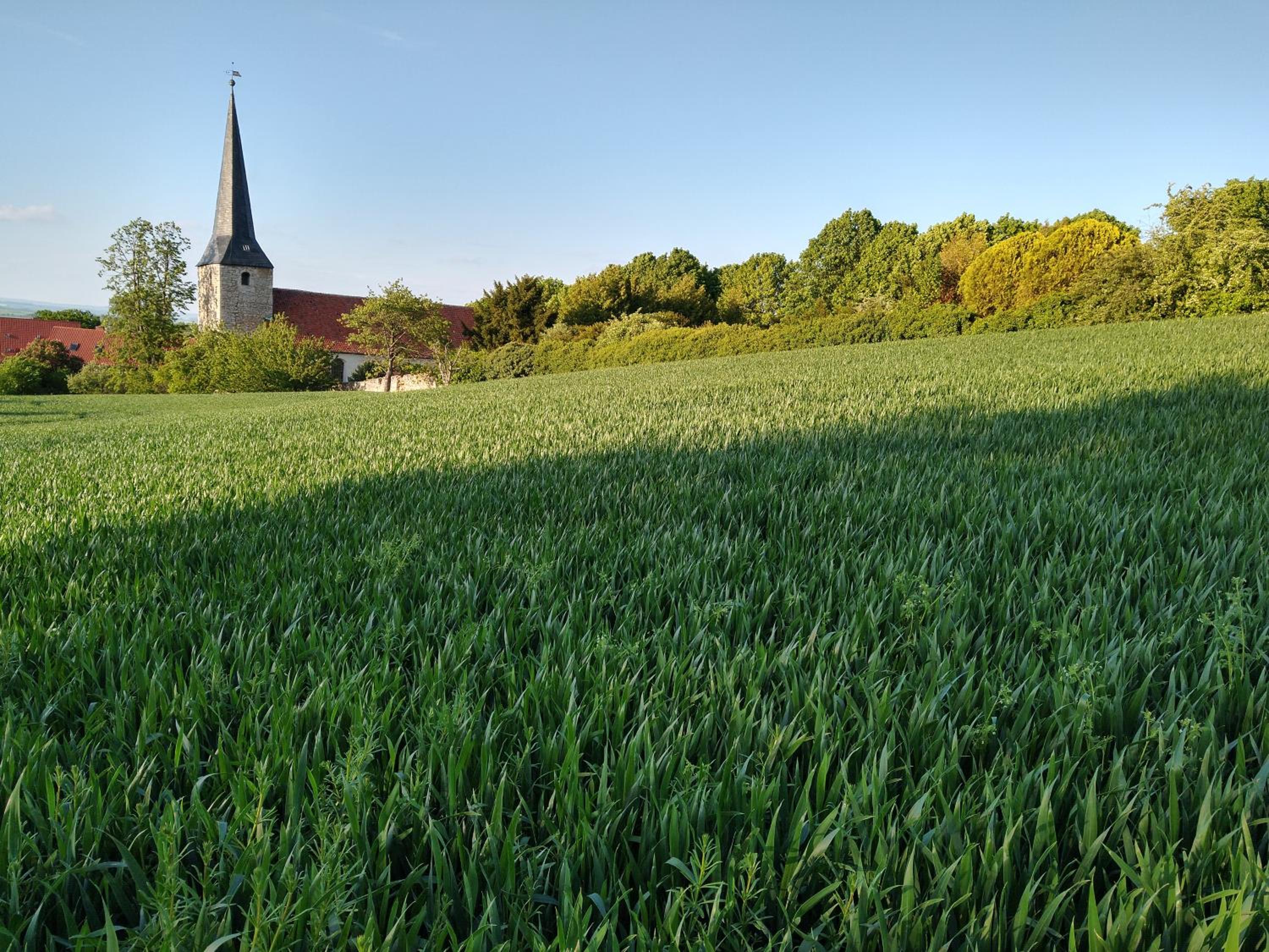 Photo 18