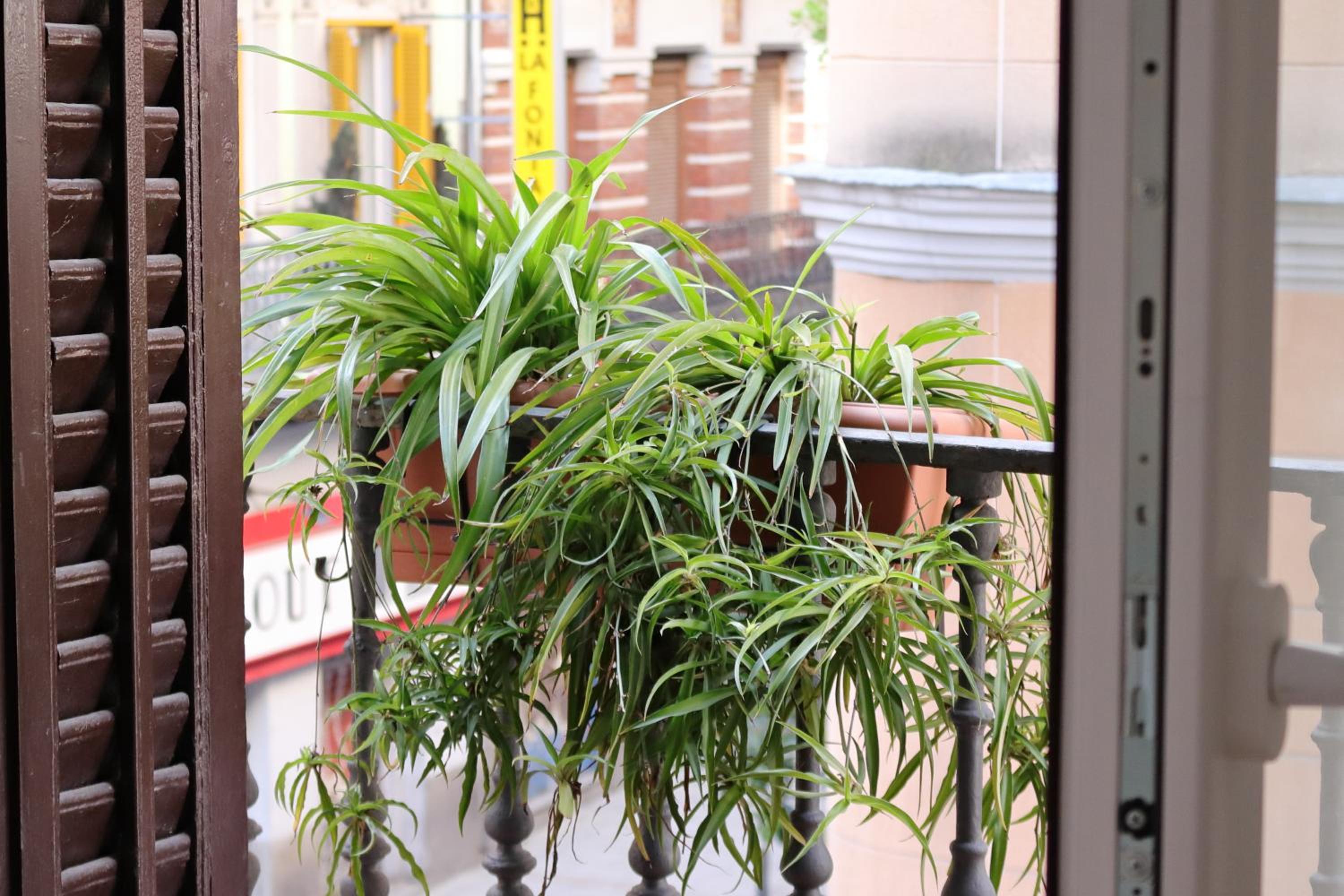Hostal La Zona