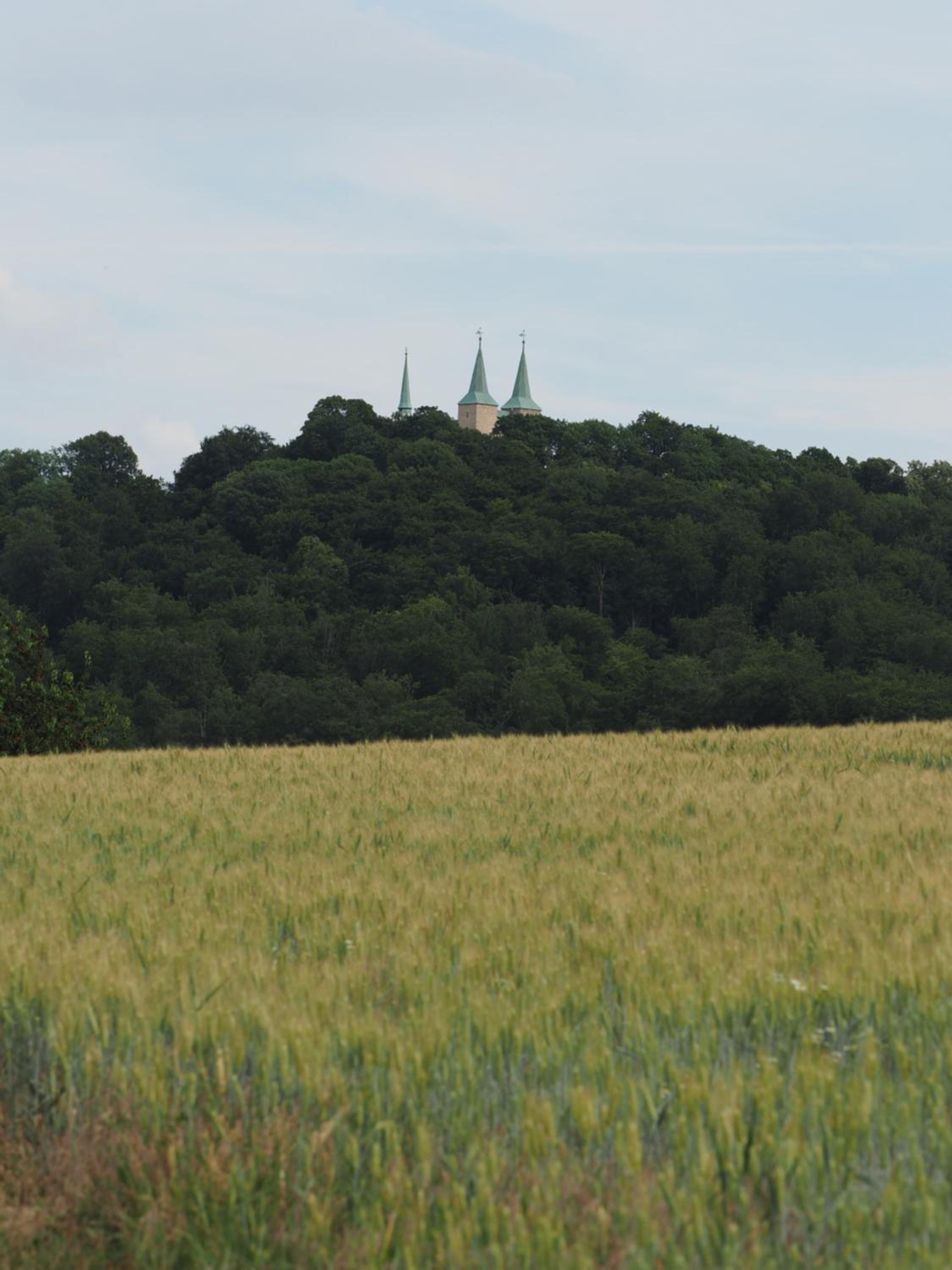 Photo 24