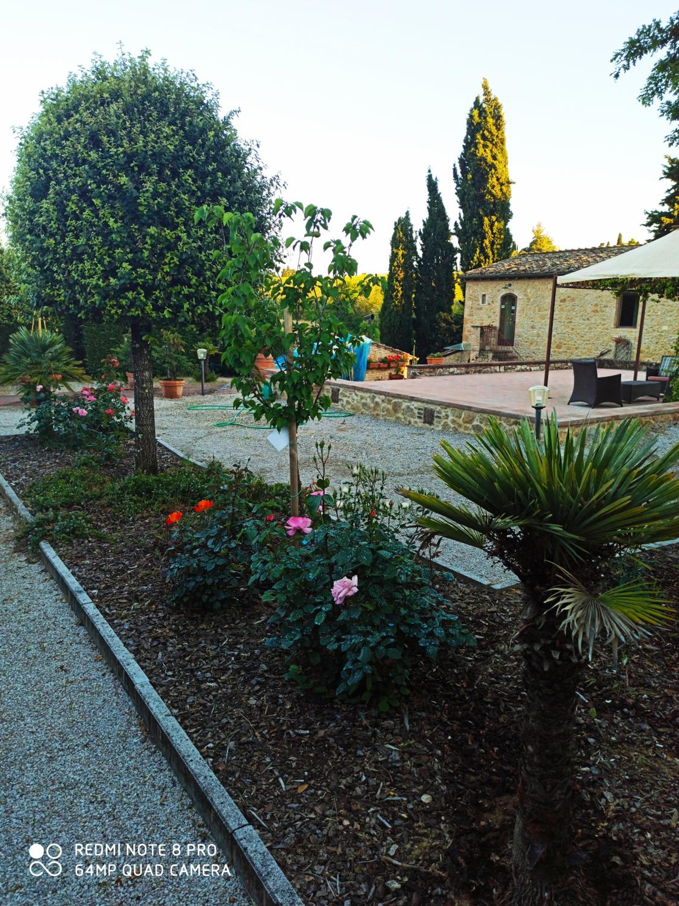 Rocca degli Olivi