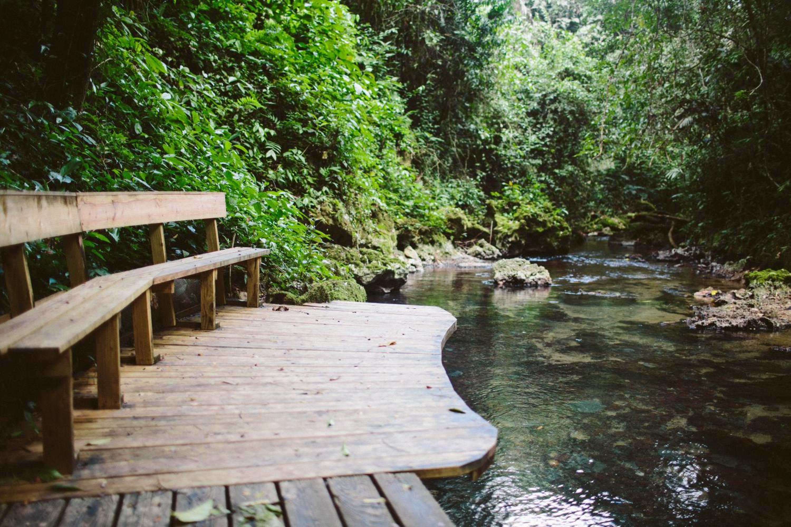 Jaguar Creek
