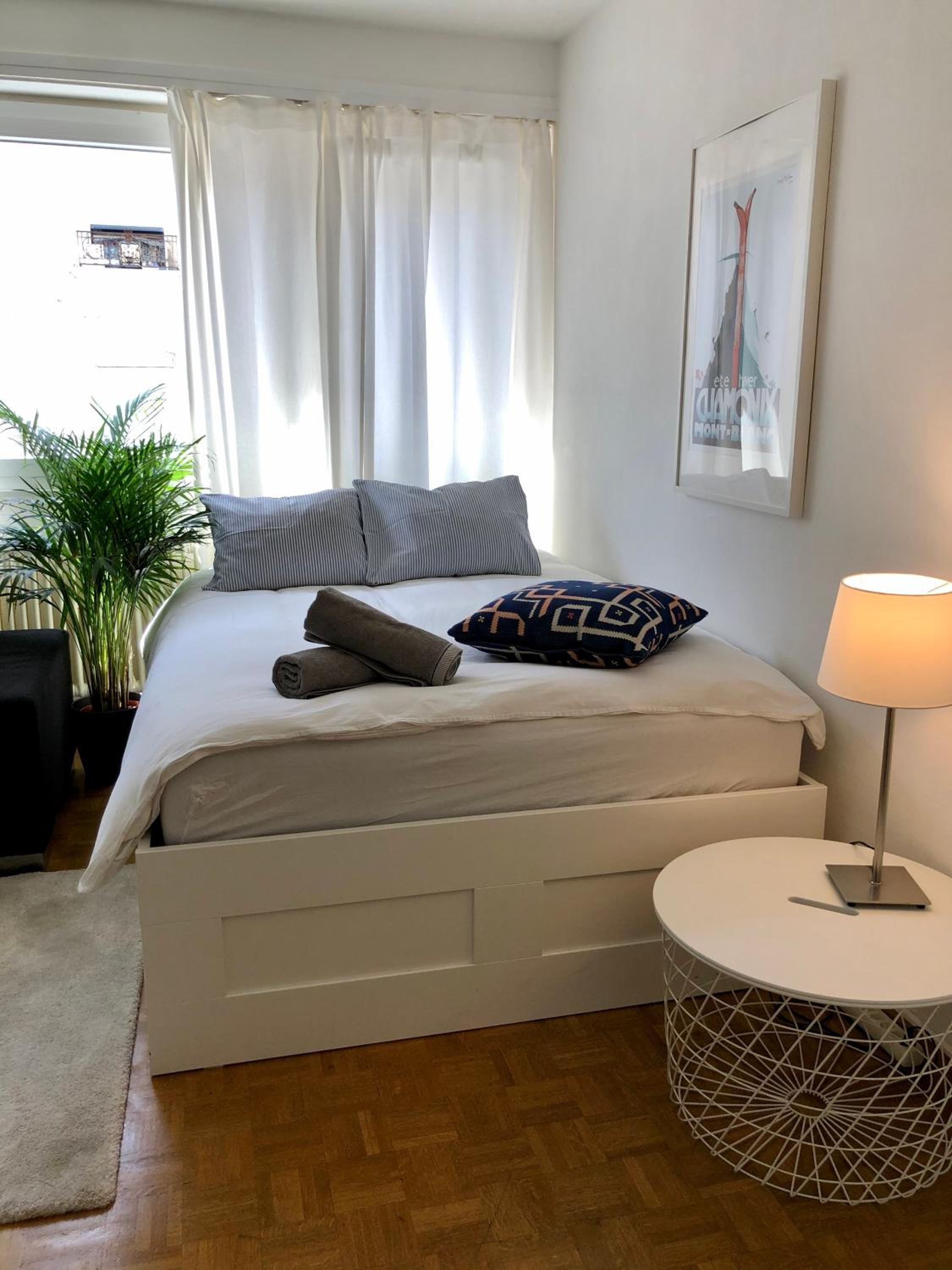 Central Geneva Studio with free Travel Pass view 2