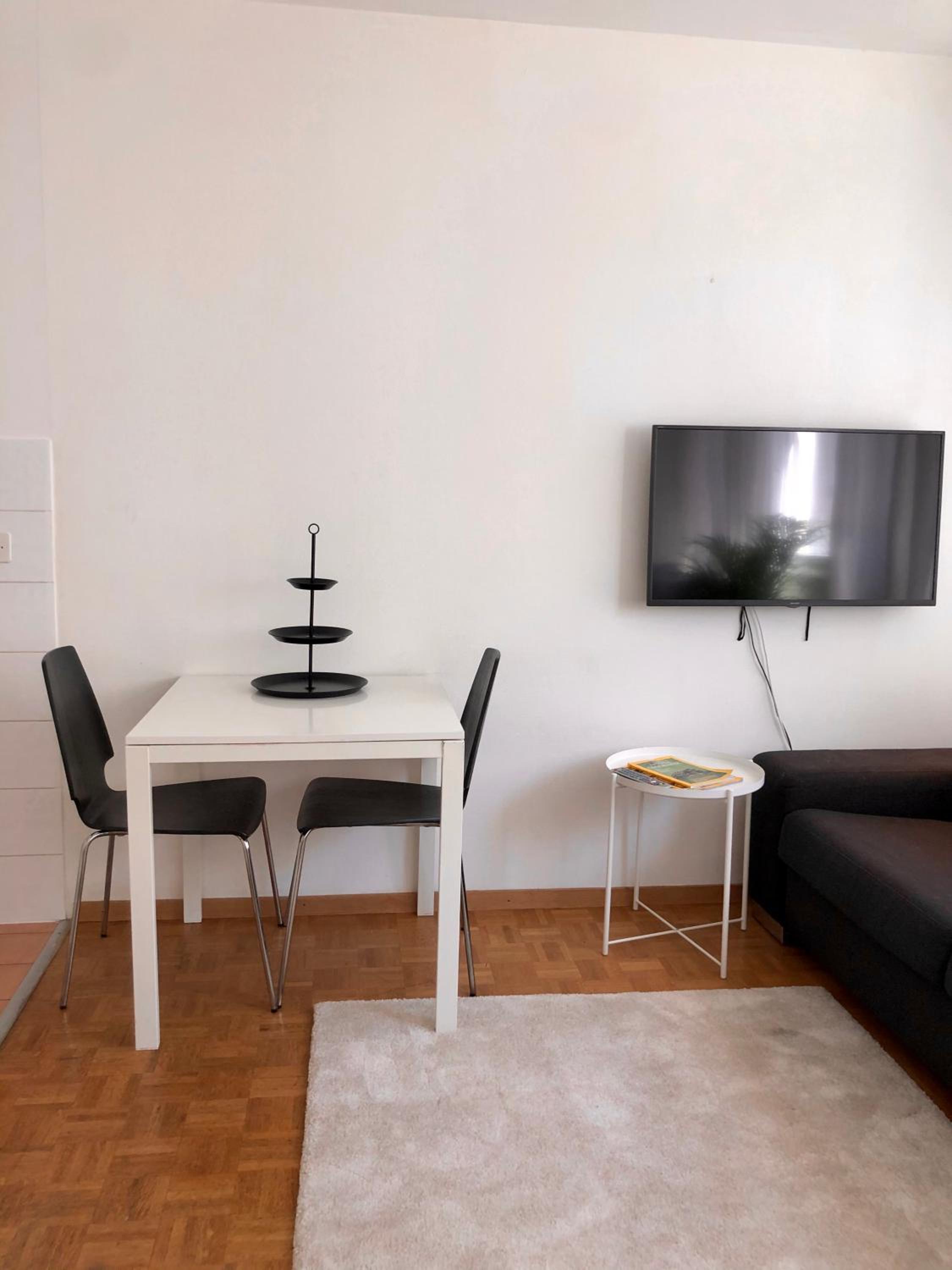 Central Geneva Studio with free Travel Pass view 4