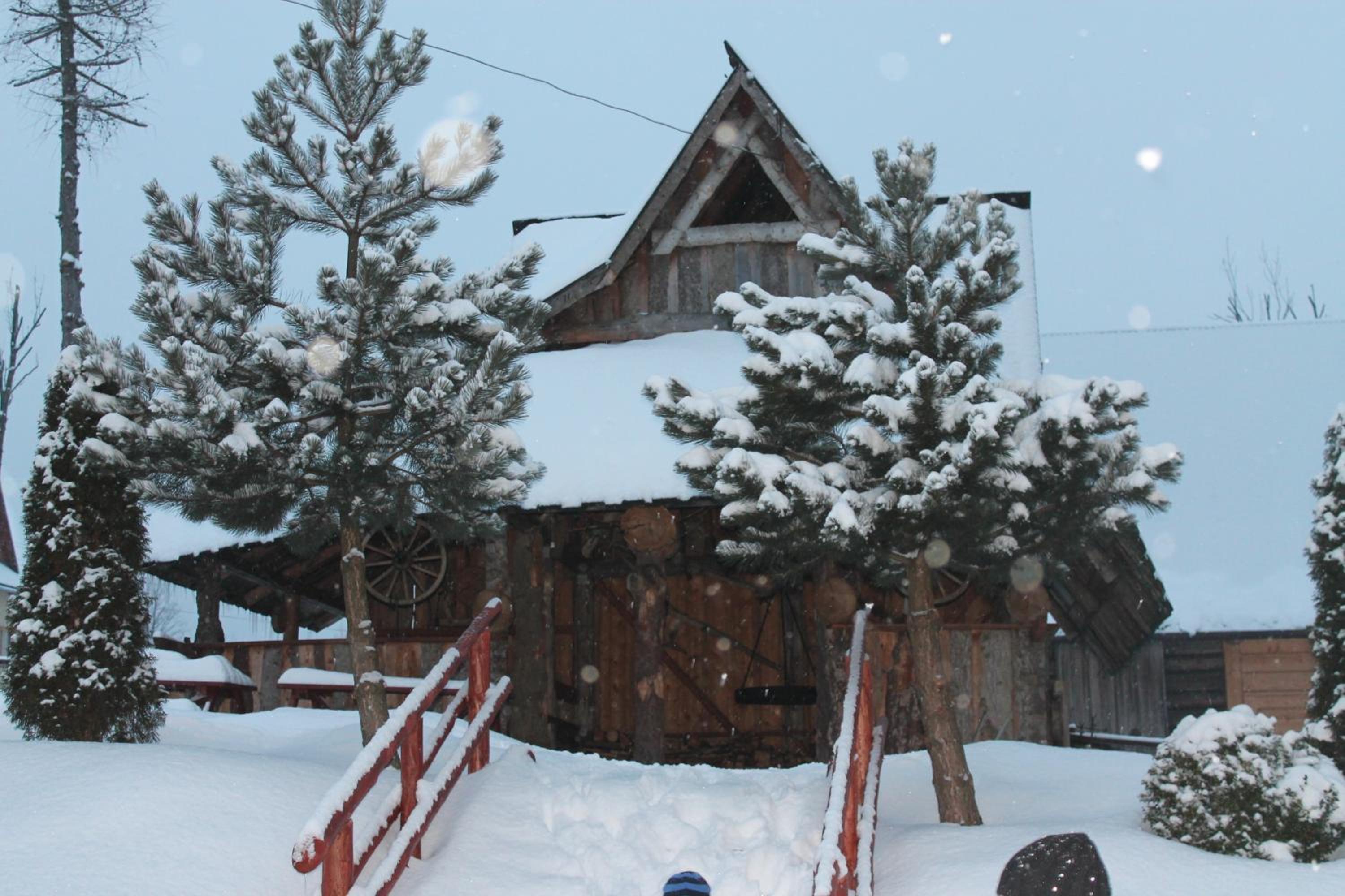 Photo 10