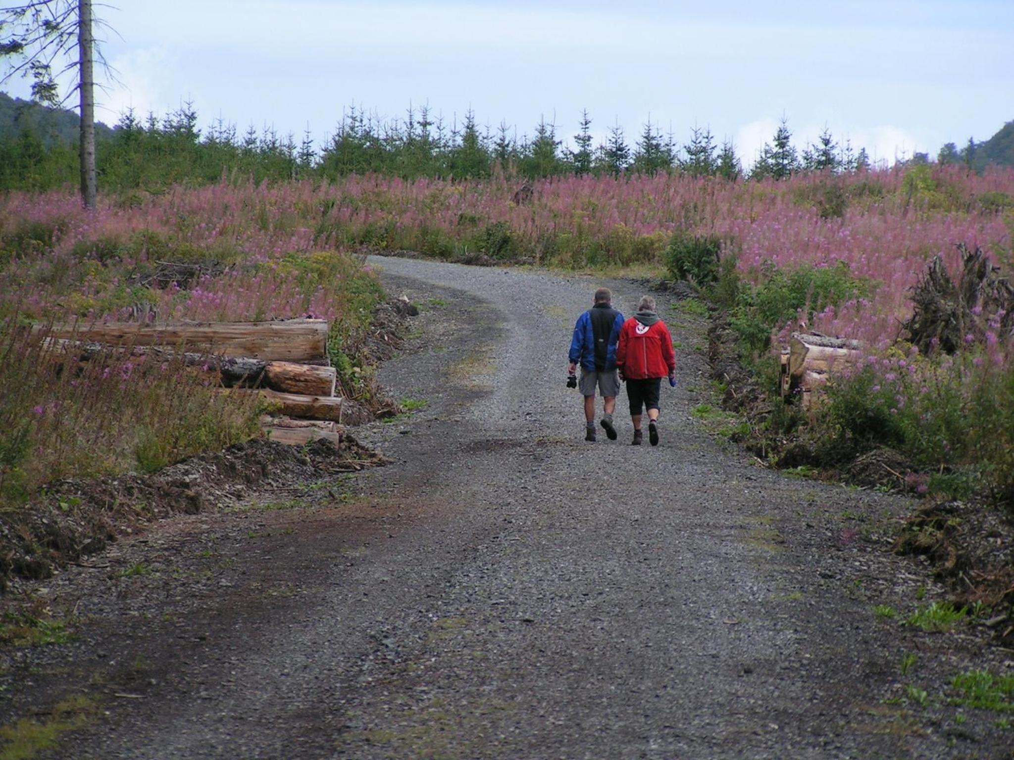 Photo 25
