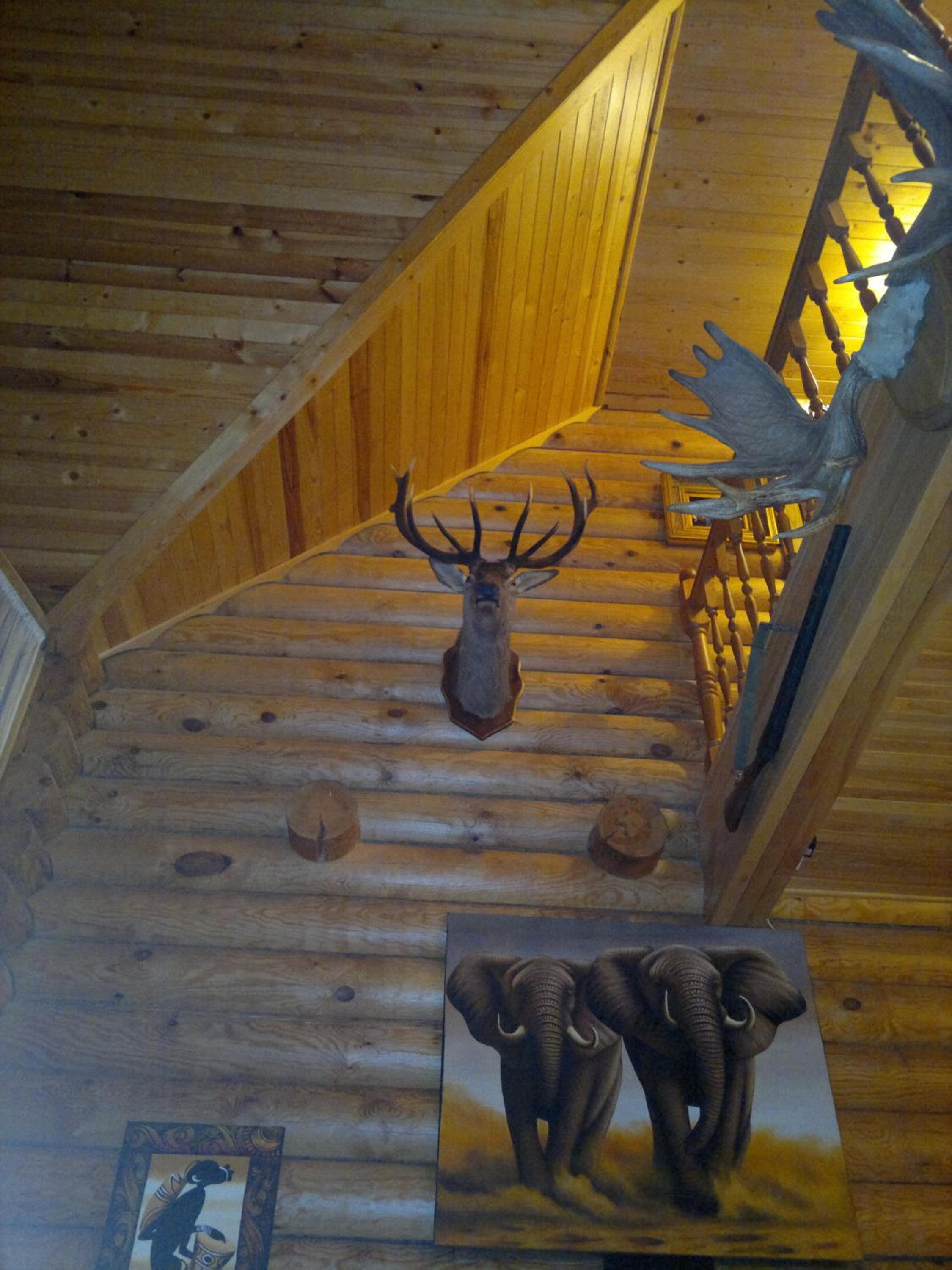 Photo 46