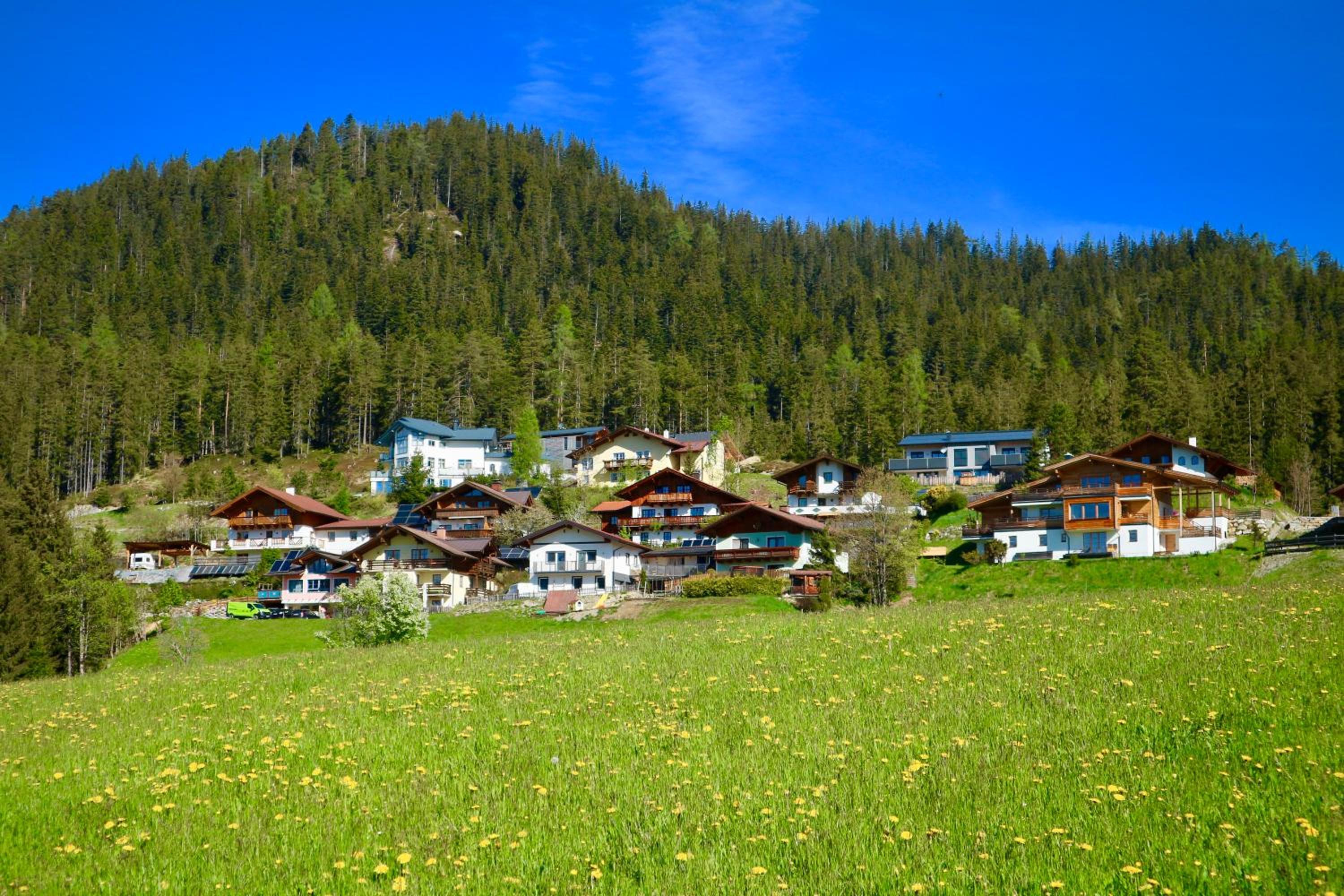 Appartements Rettensteiner view 2