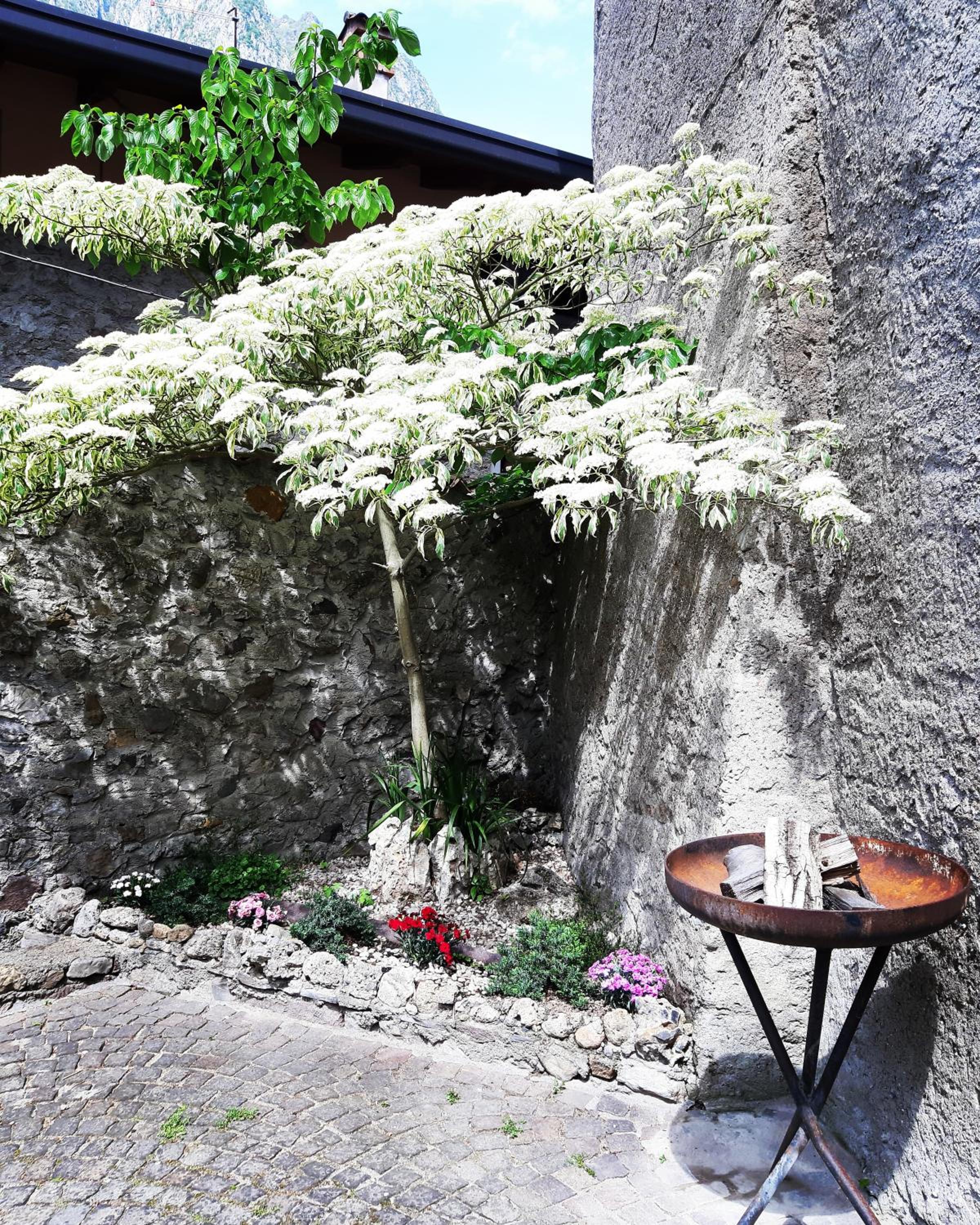 Photo 49
