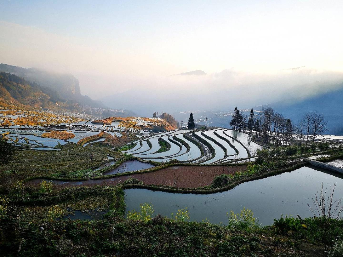多依湾客栈Havre de paix DuoYiWan