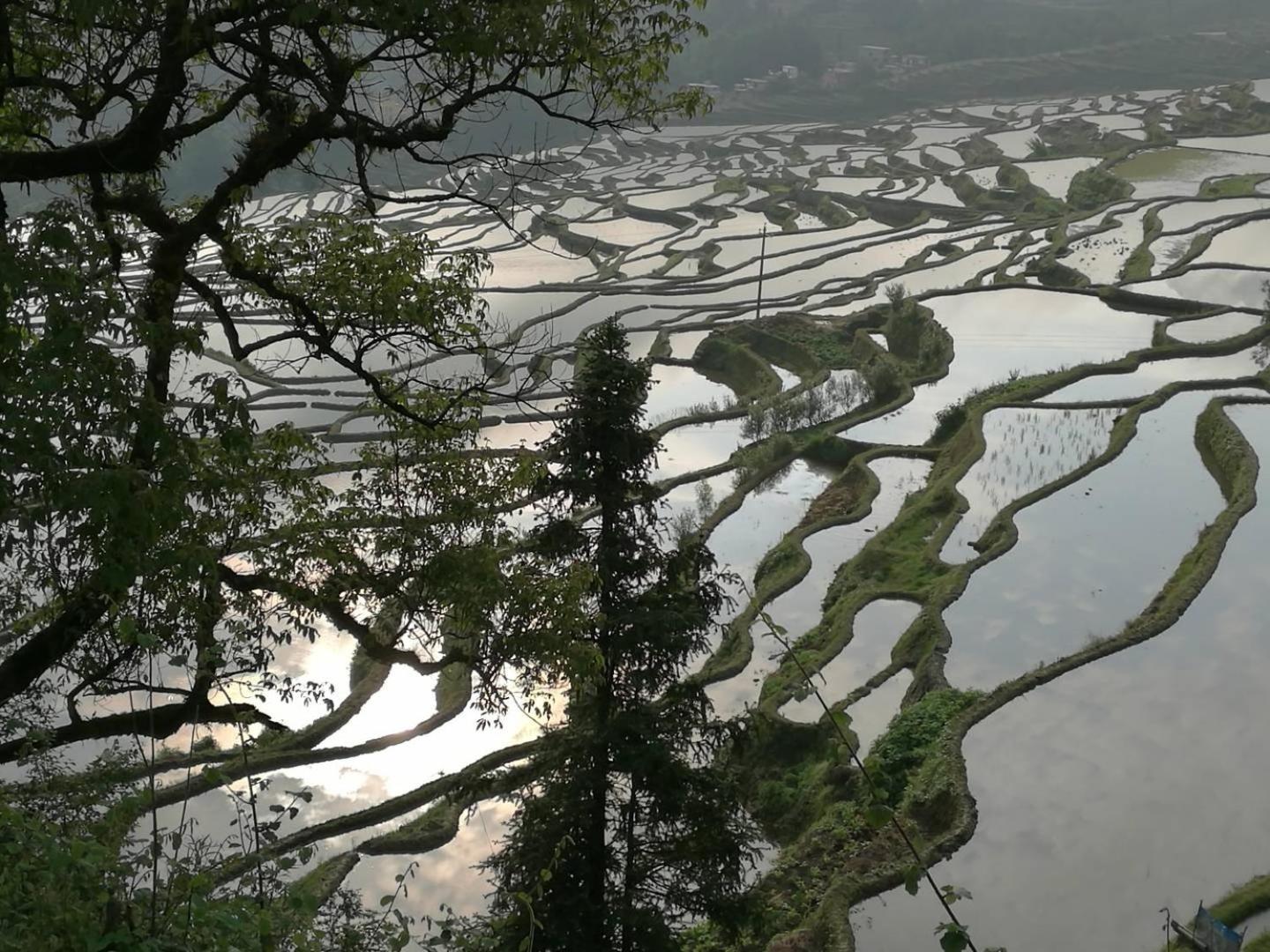 多依湾客栈Havre de paix DuoYiWan