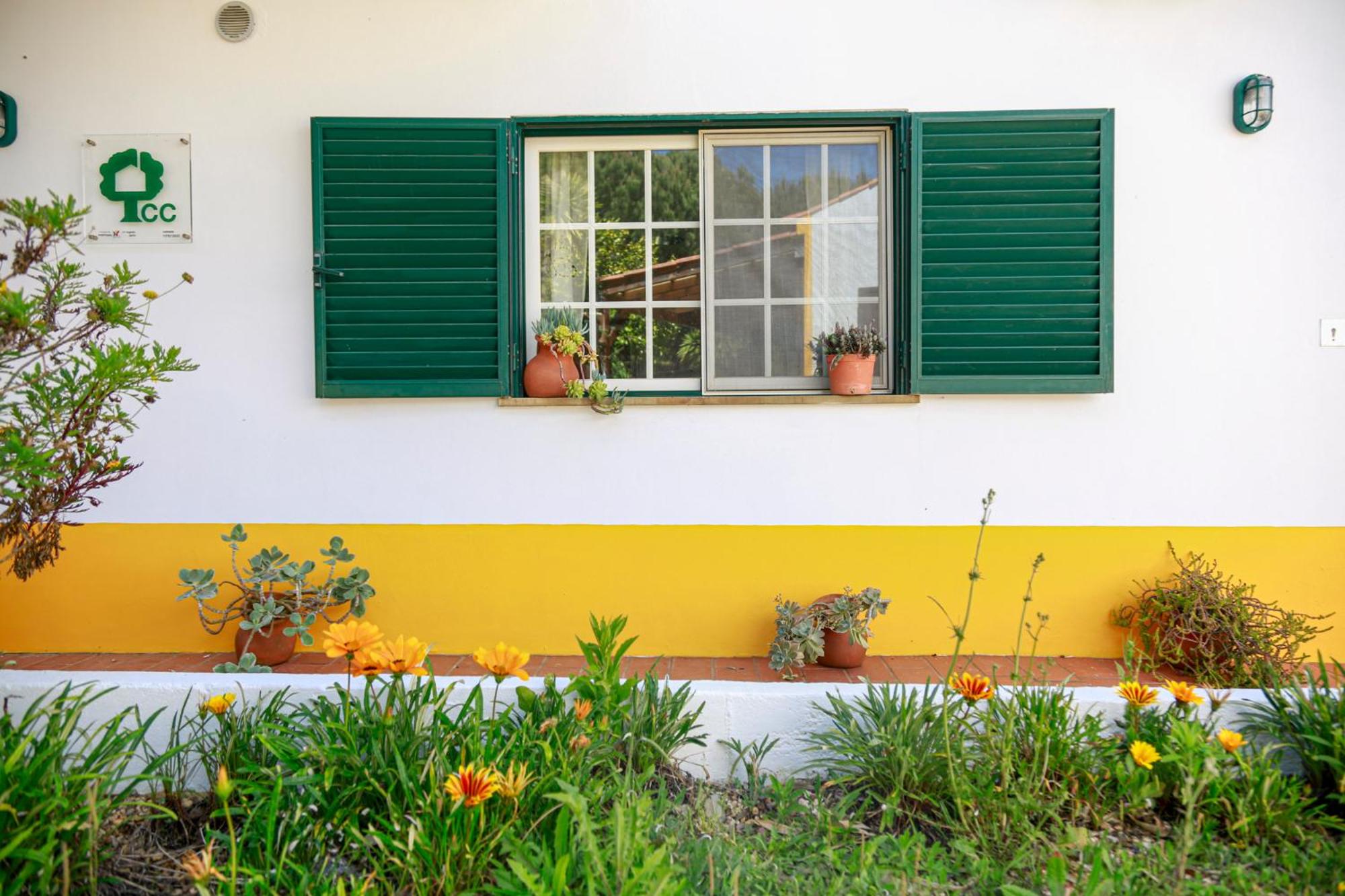 Quinta Camarena