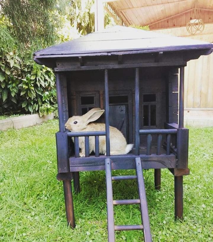 Vacation Home Nukri