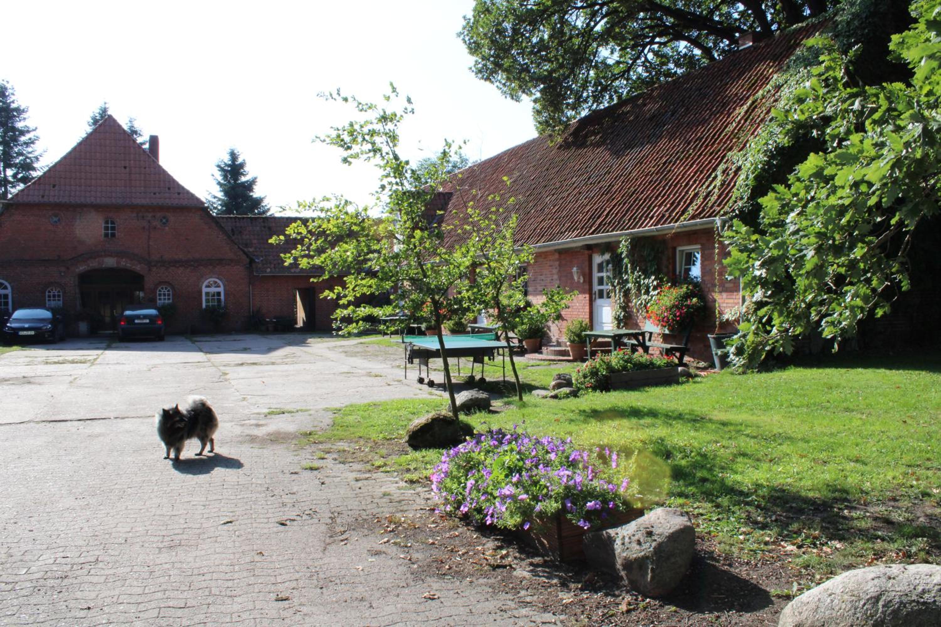 Bauernhofurlaub bei Familie Bokeloh
