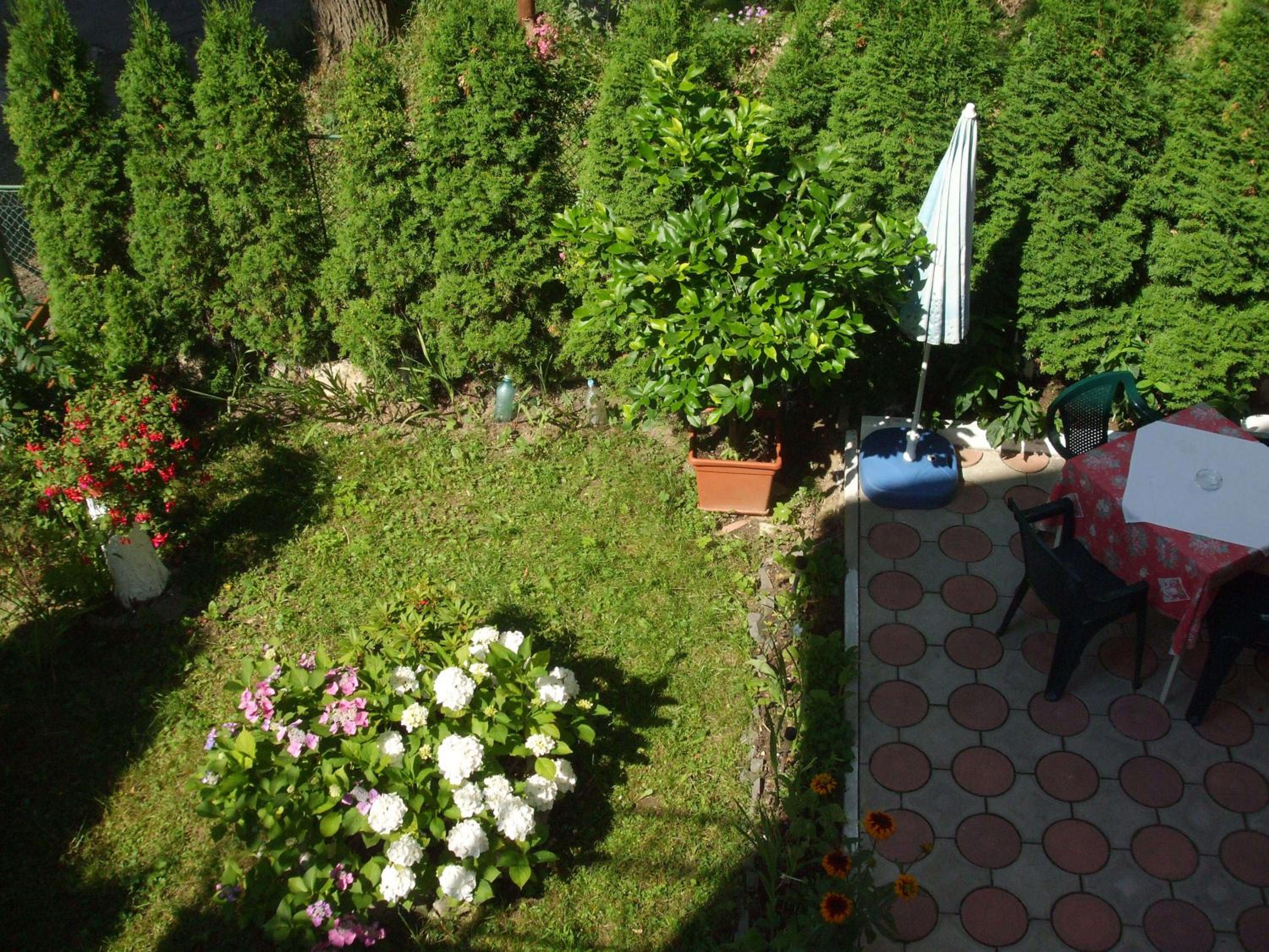 Photo 15