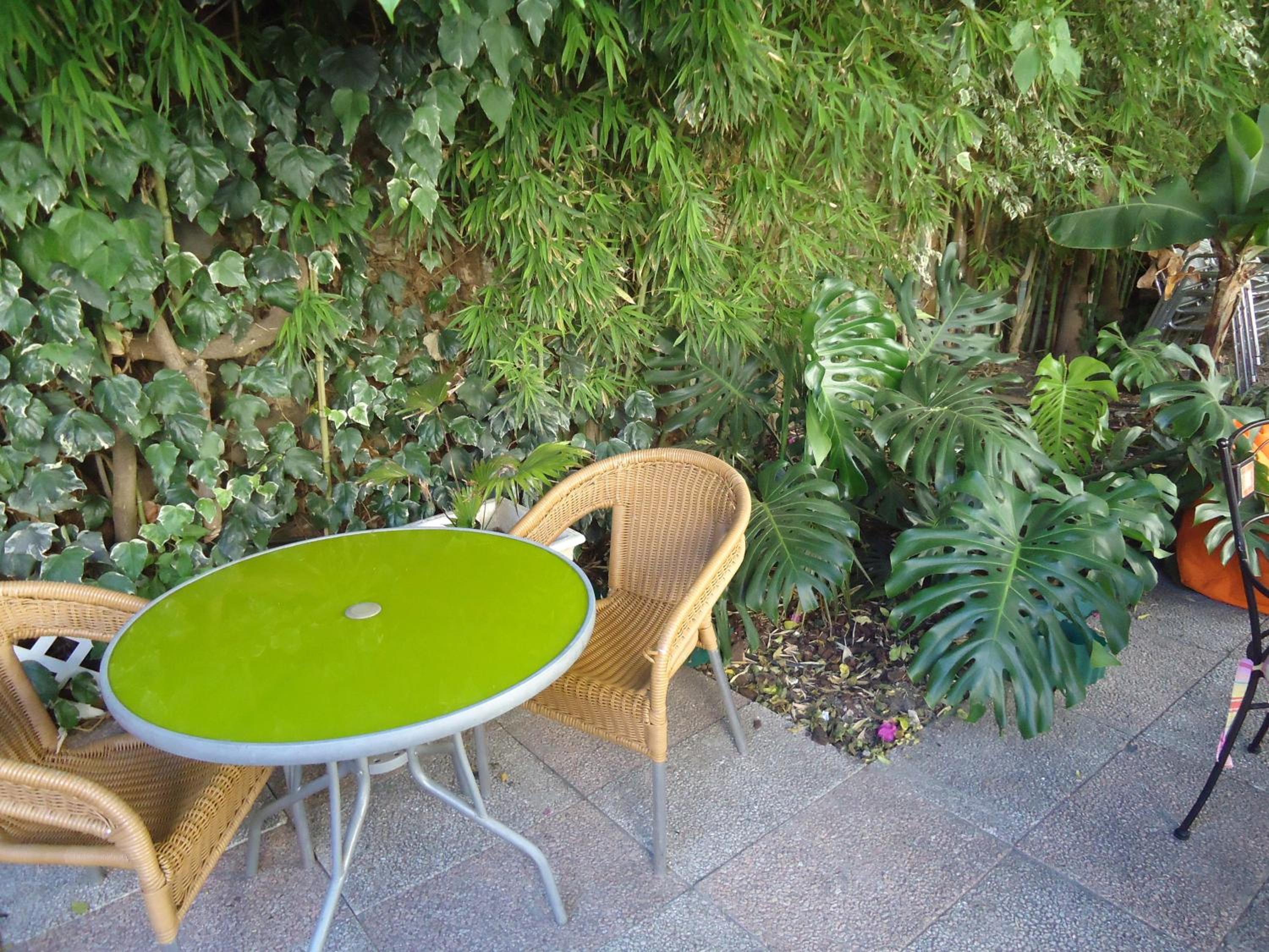 Photo 42