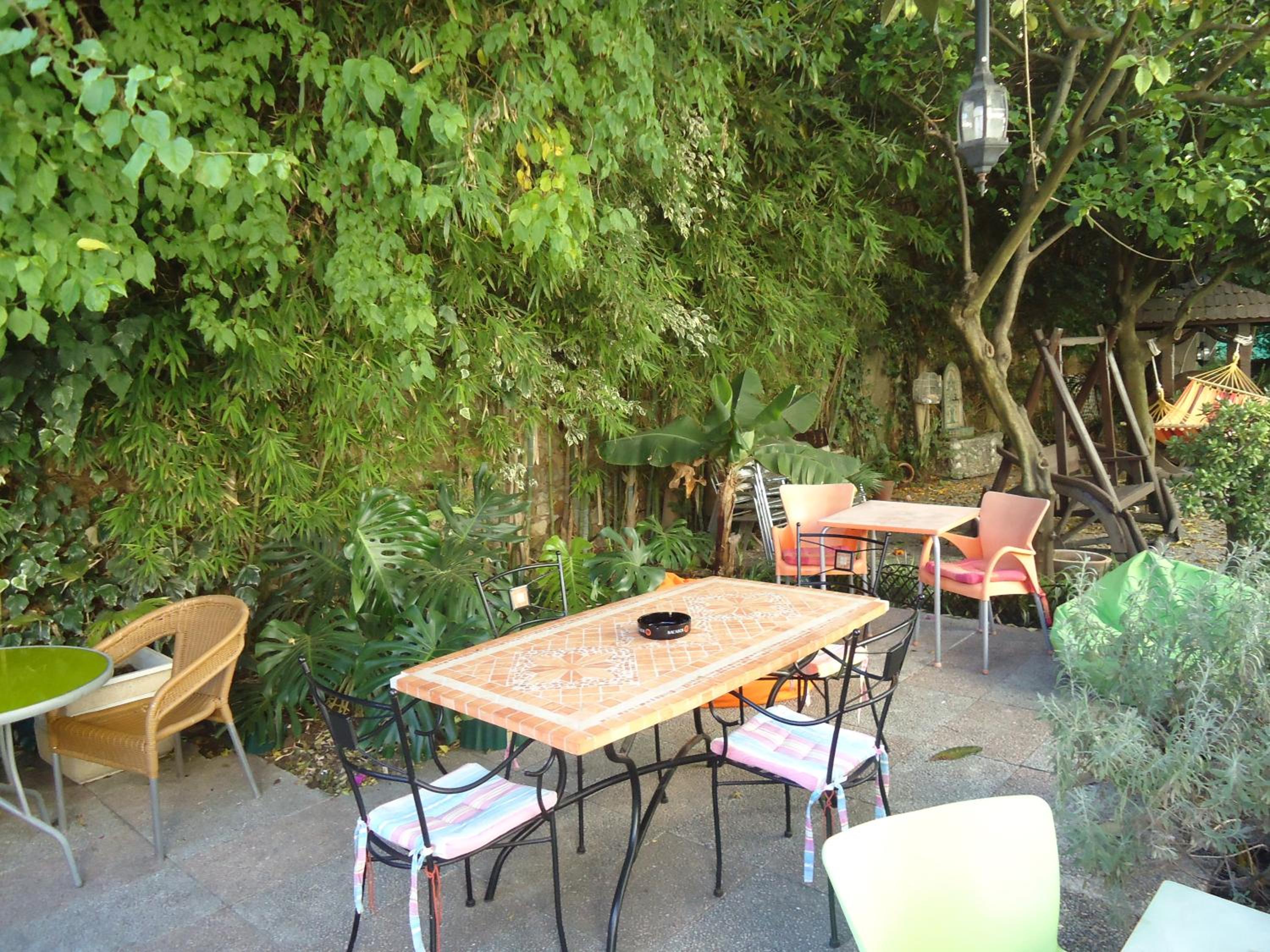 Photo 44