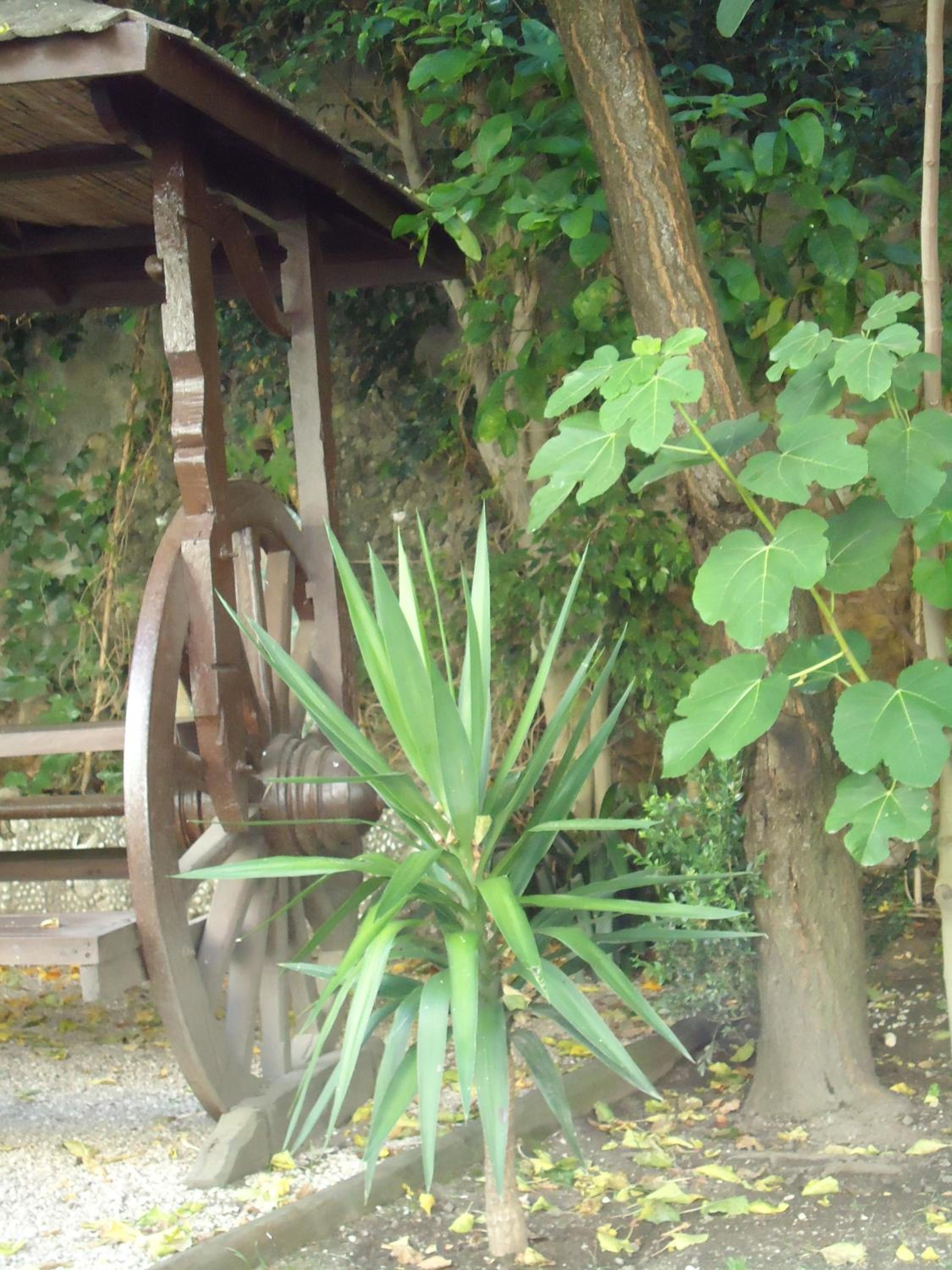 Photo 48