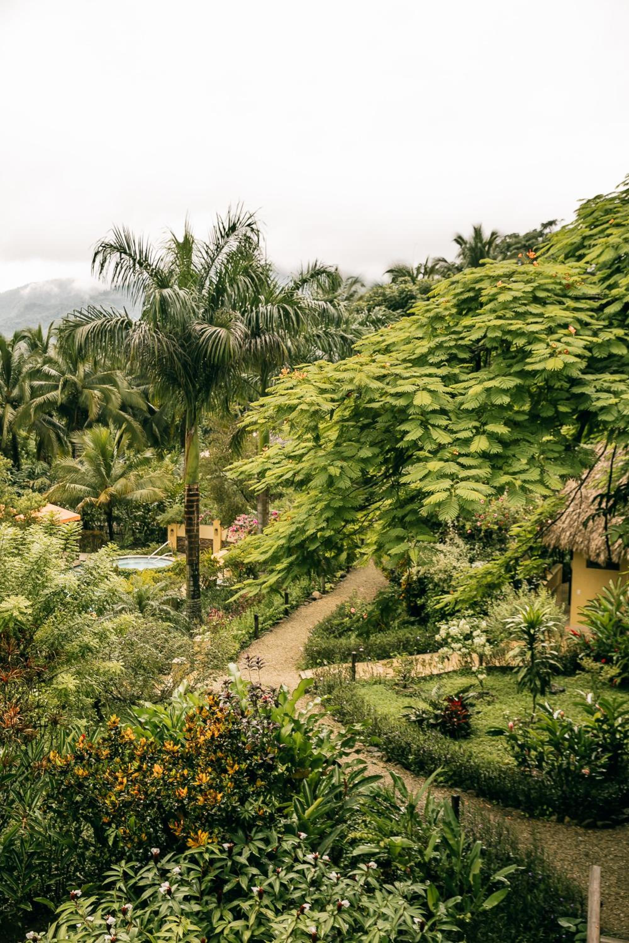 Sleeping Giant Rainforest Lodge