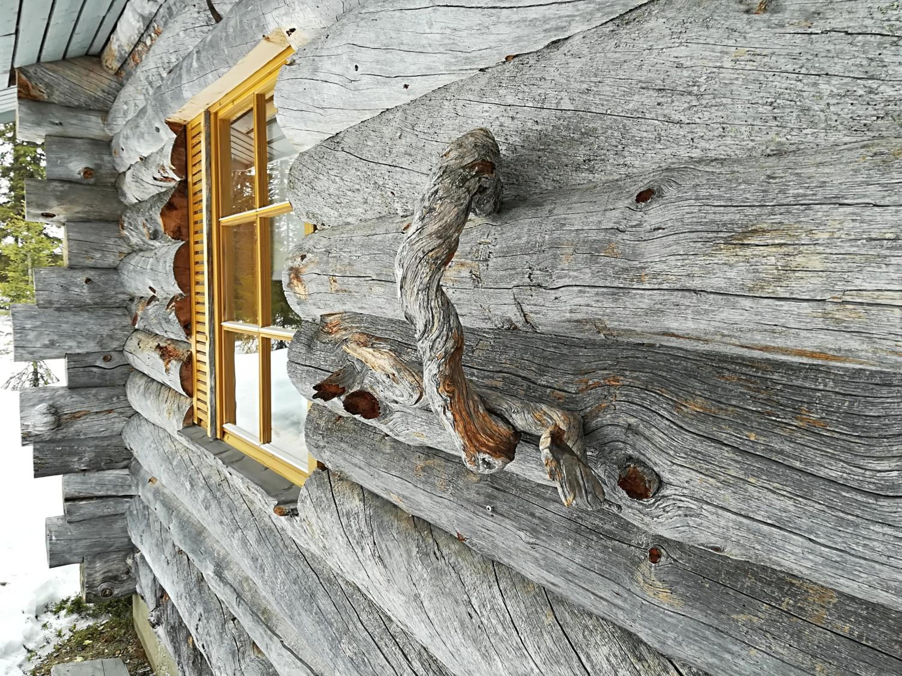 Photo 25