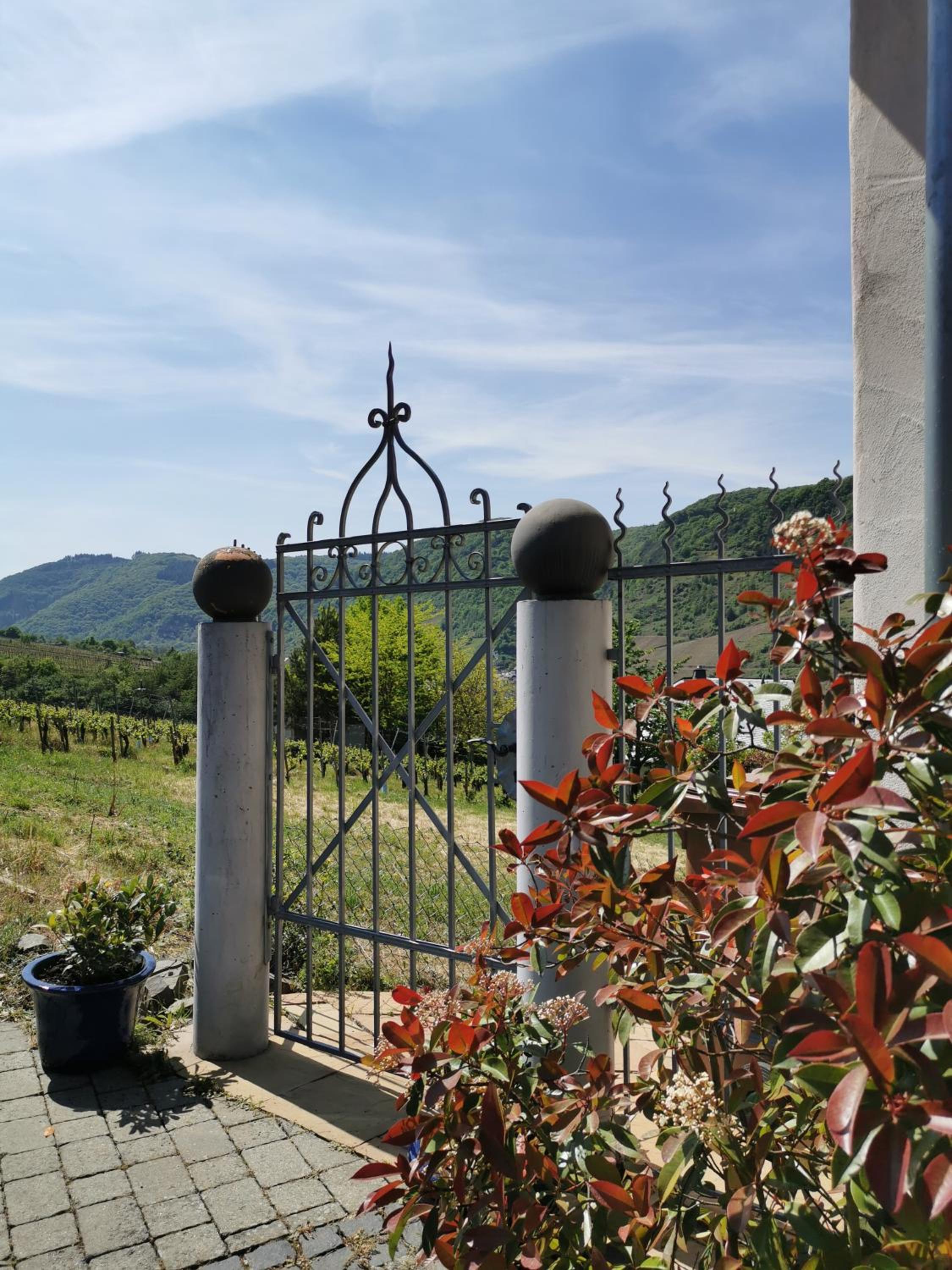 Weingut Amlinger&Sohn